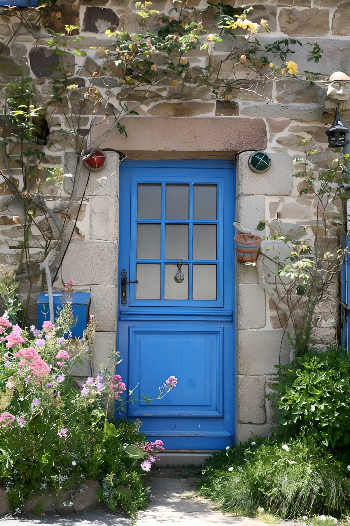 Bi-fold blue door, house with plants