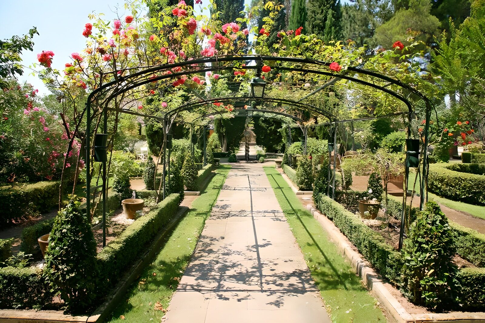 OCUK23683: View through roses arch into French garden  version 3