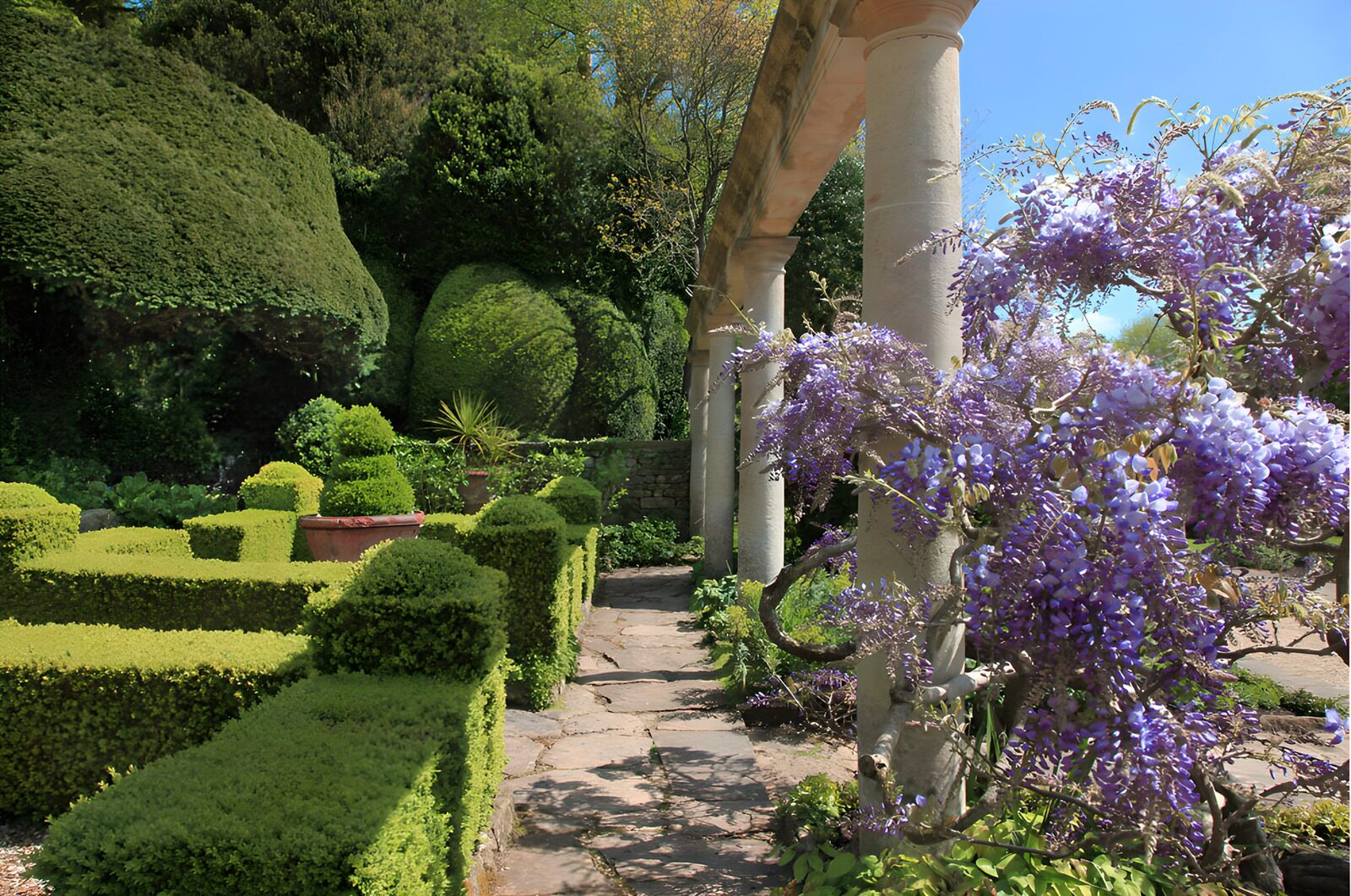 OCUK67894: Serene Garden Pathway