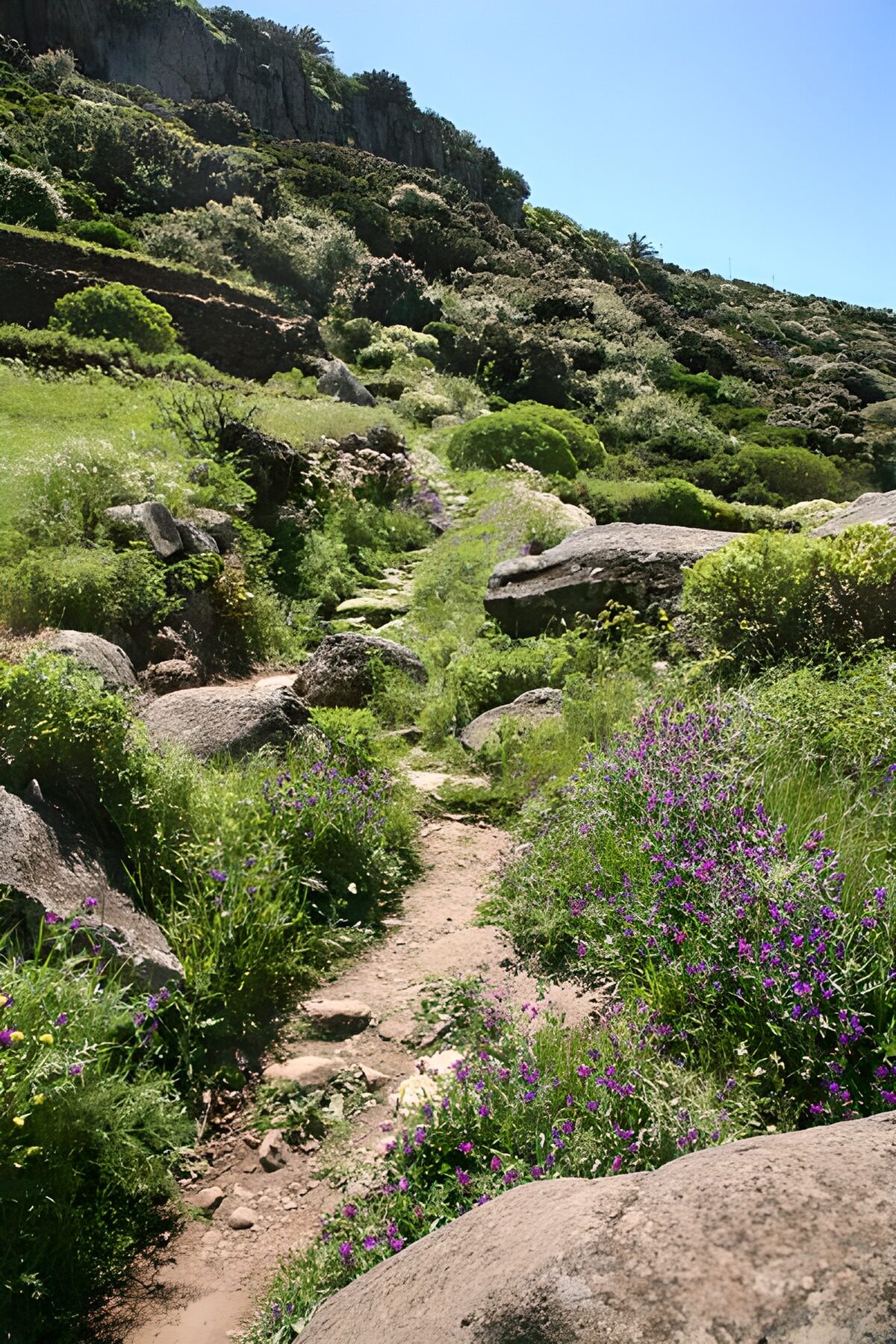 OCUK38488: La Gomera 44