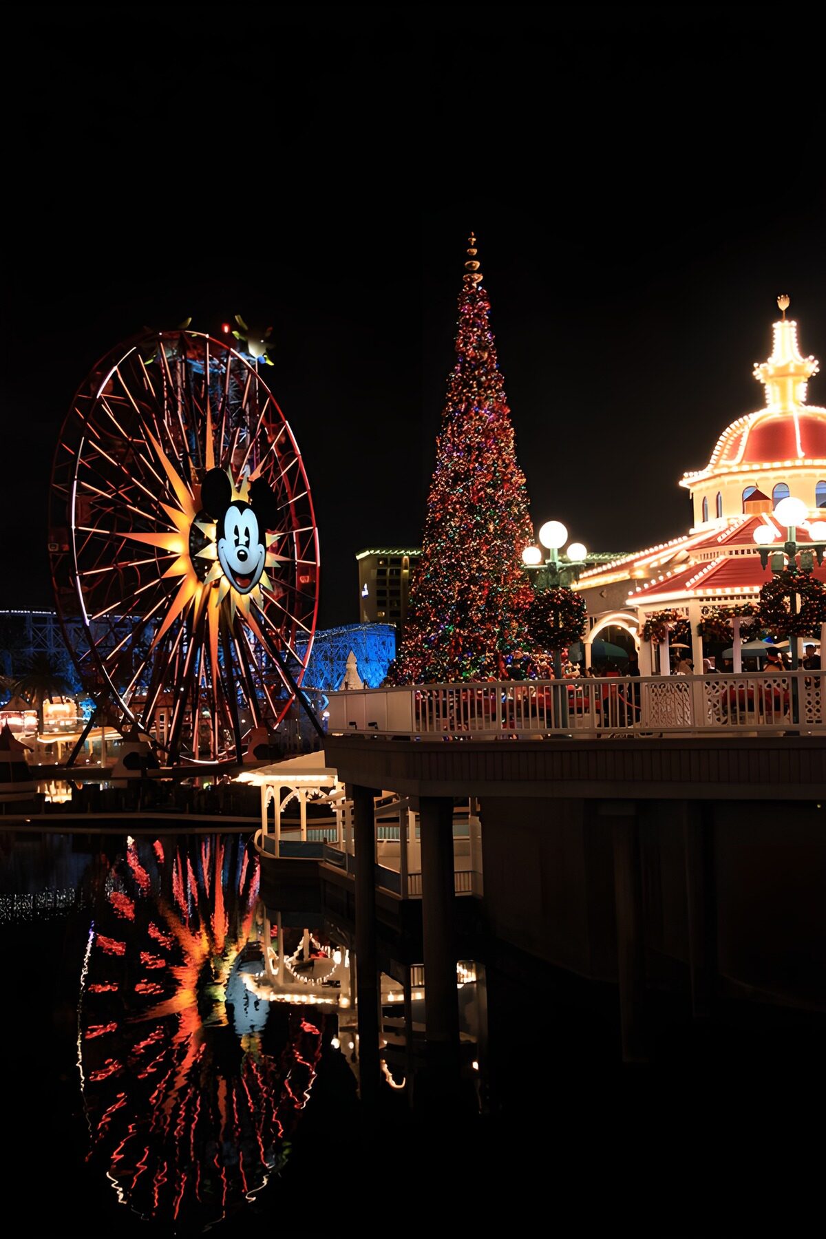 OCUK10912: Magical Christmas at Mickey's Park