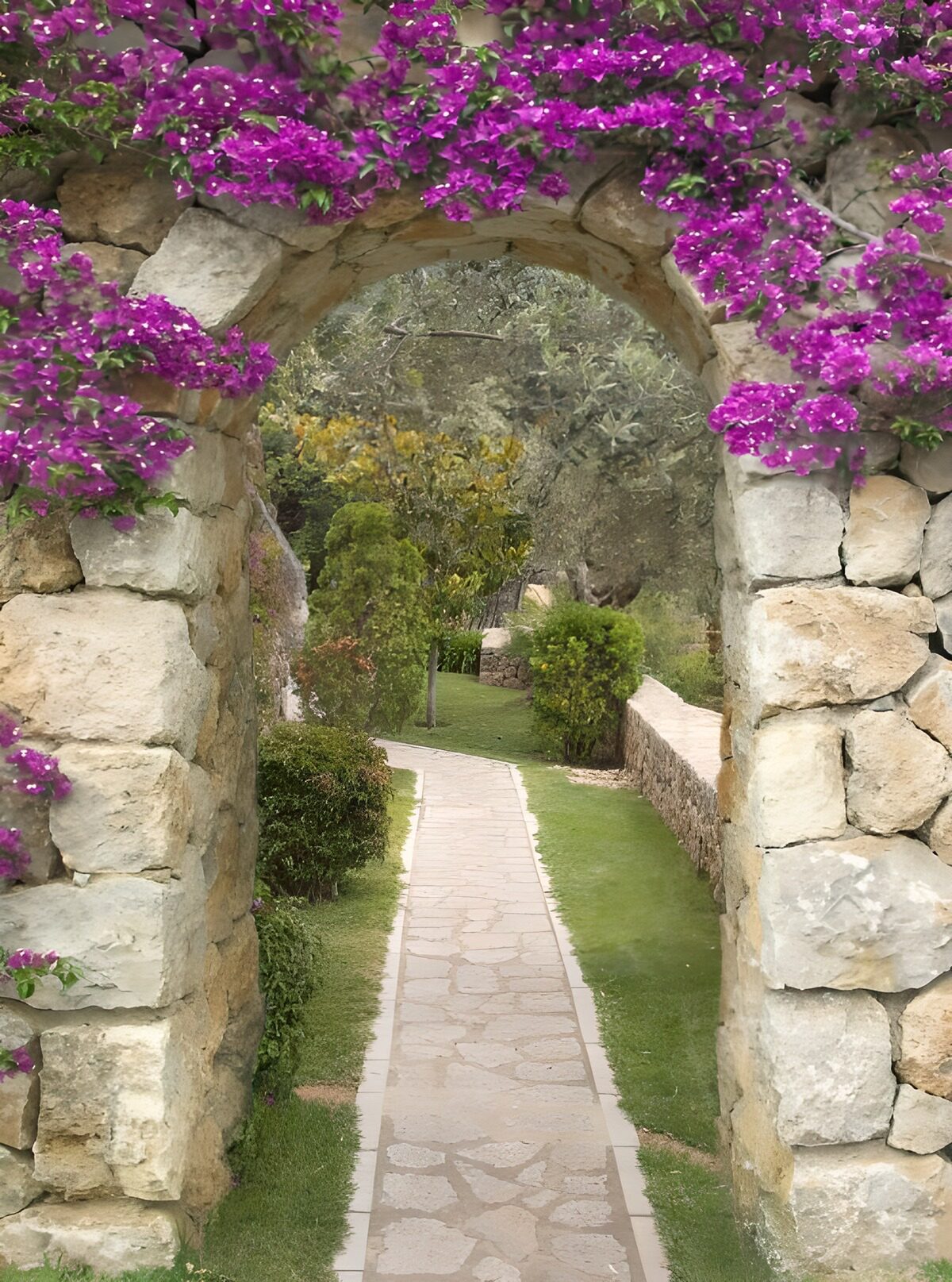 OCUK67182: Brick gate with arch and purple flowers