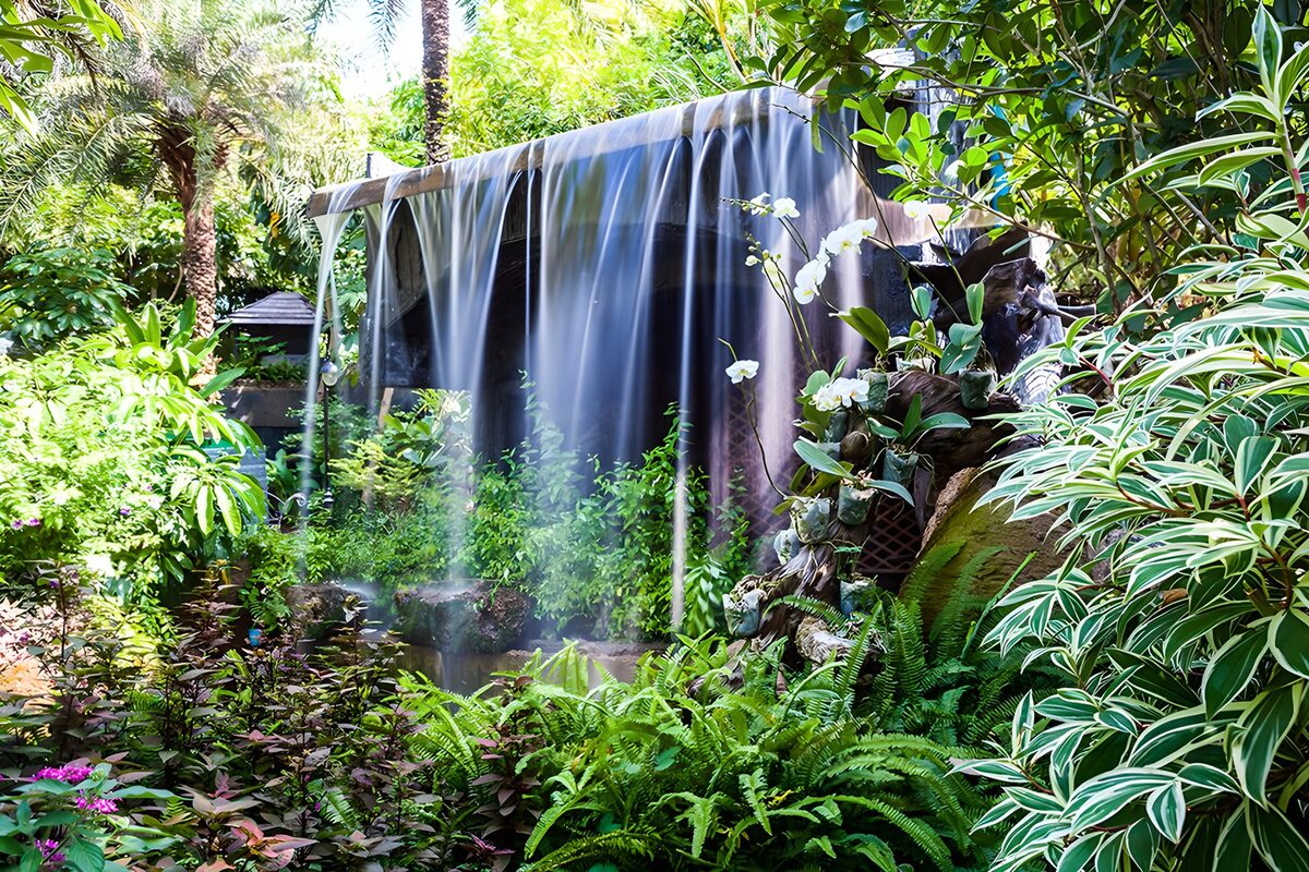 Serene Waterfall Oasis
