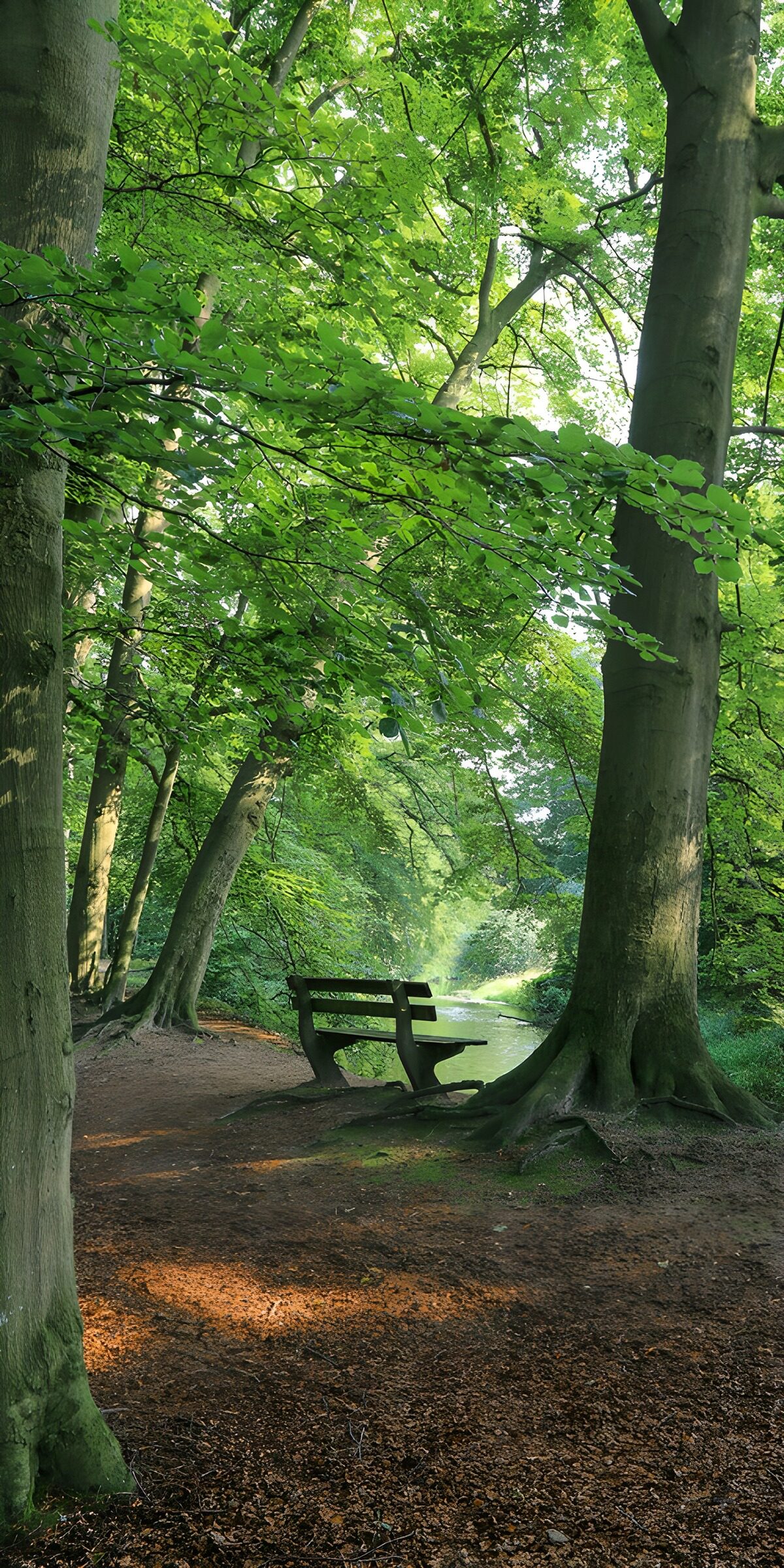 OCUK44124: Serenity in the Green Forest