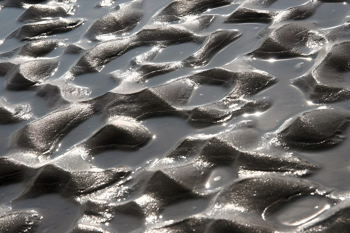 OCUK53664: Reflections on the Wet Sand