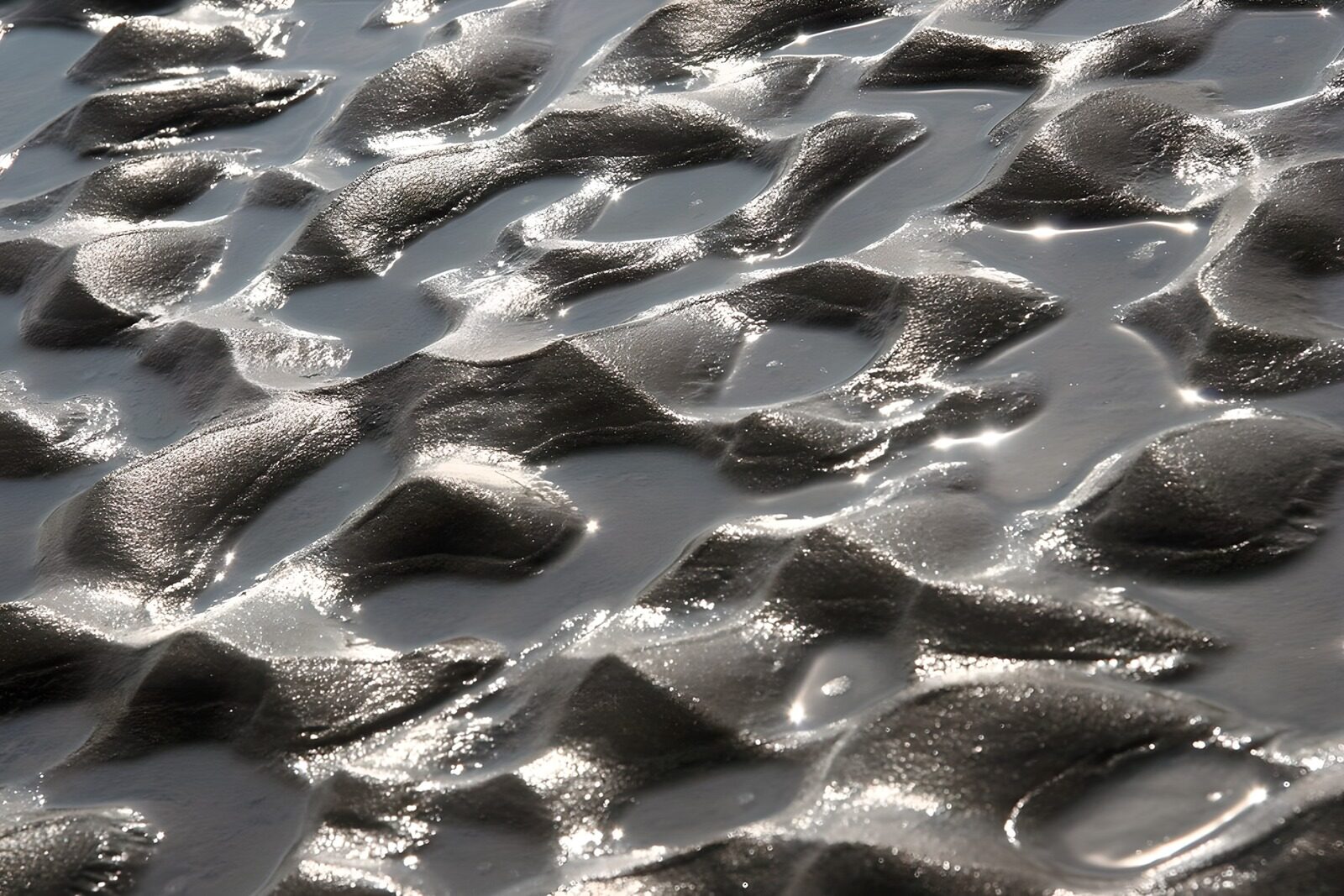 OCUK53664: Reflections on the Wet Sand