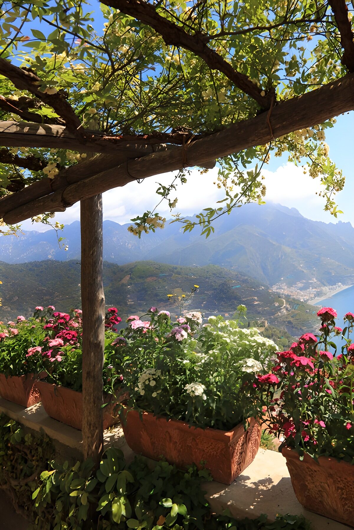 OCUK94880: Enchanted Coastal Garden View