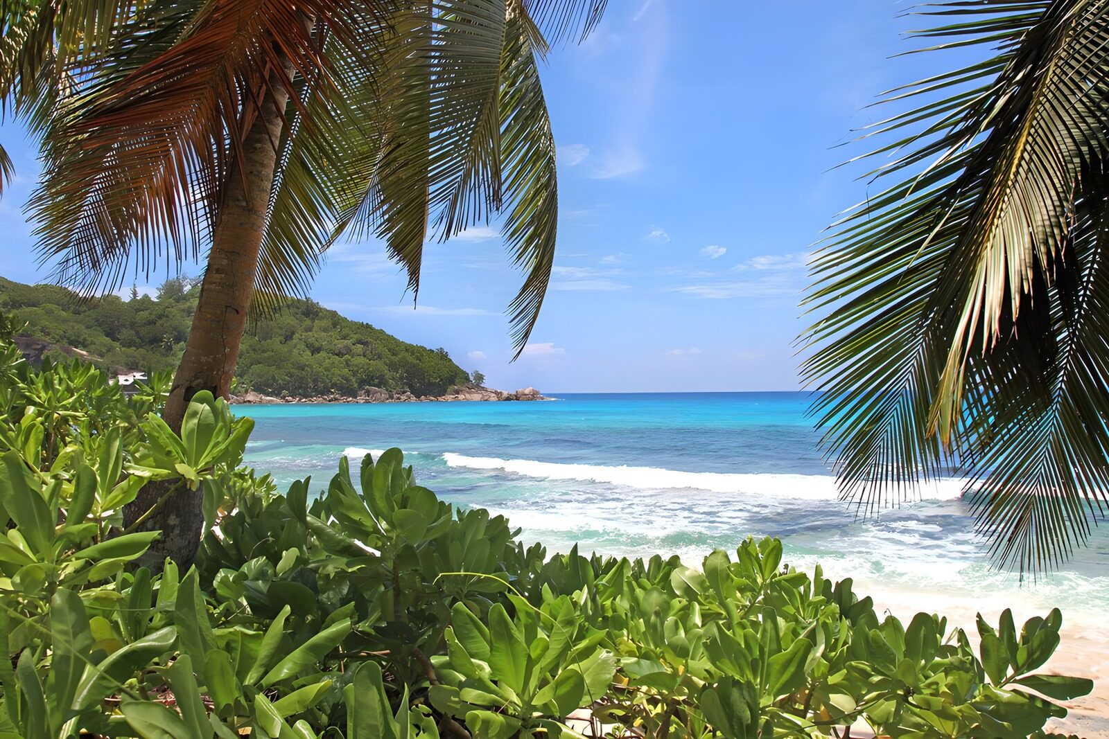 OCUK15588: Tropical Paradise Escape