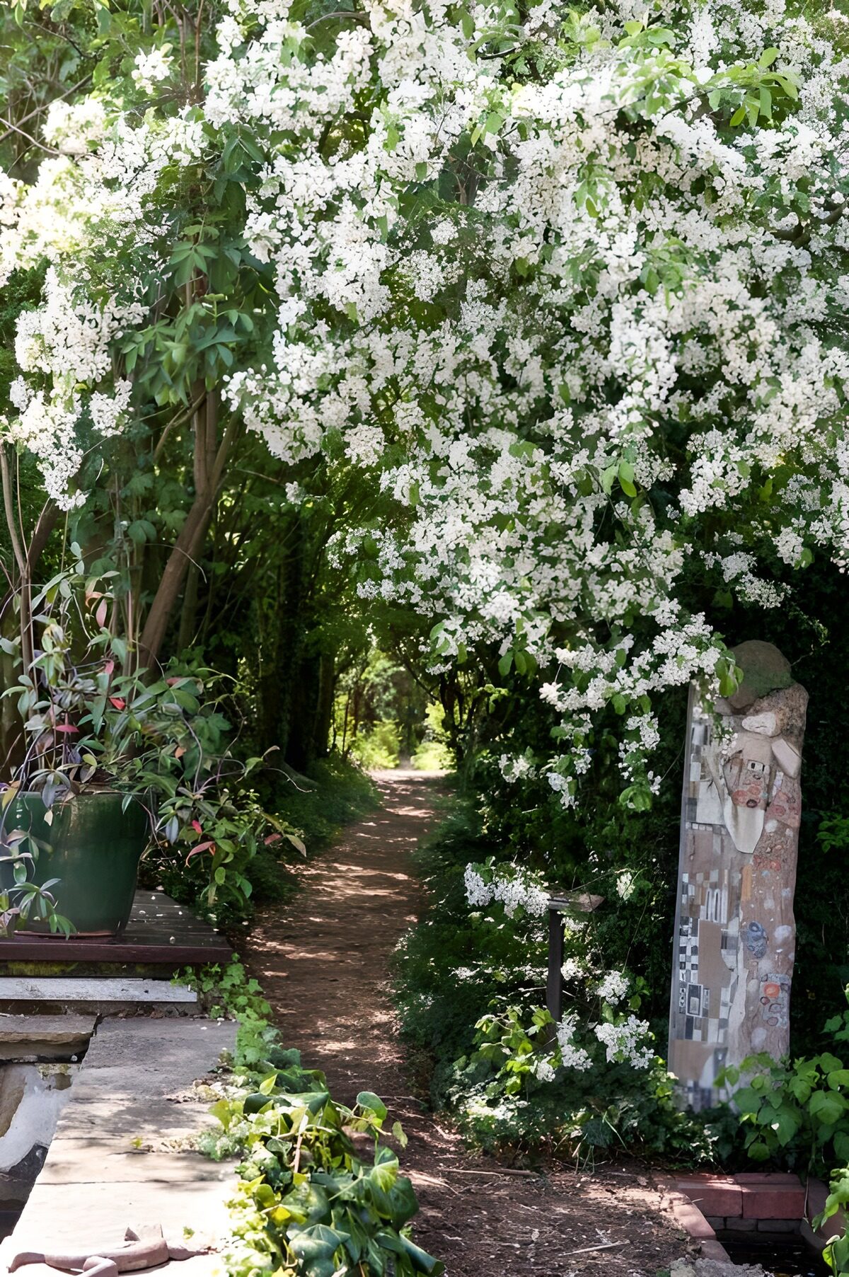 OCUK59858: Blossoming Garden Pathway