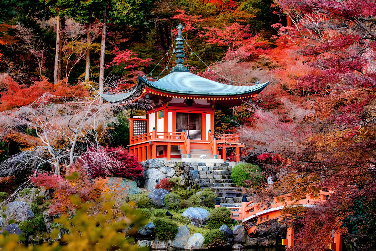 OCUK27769: Serene Autumn Temple in Japan