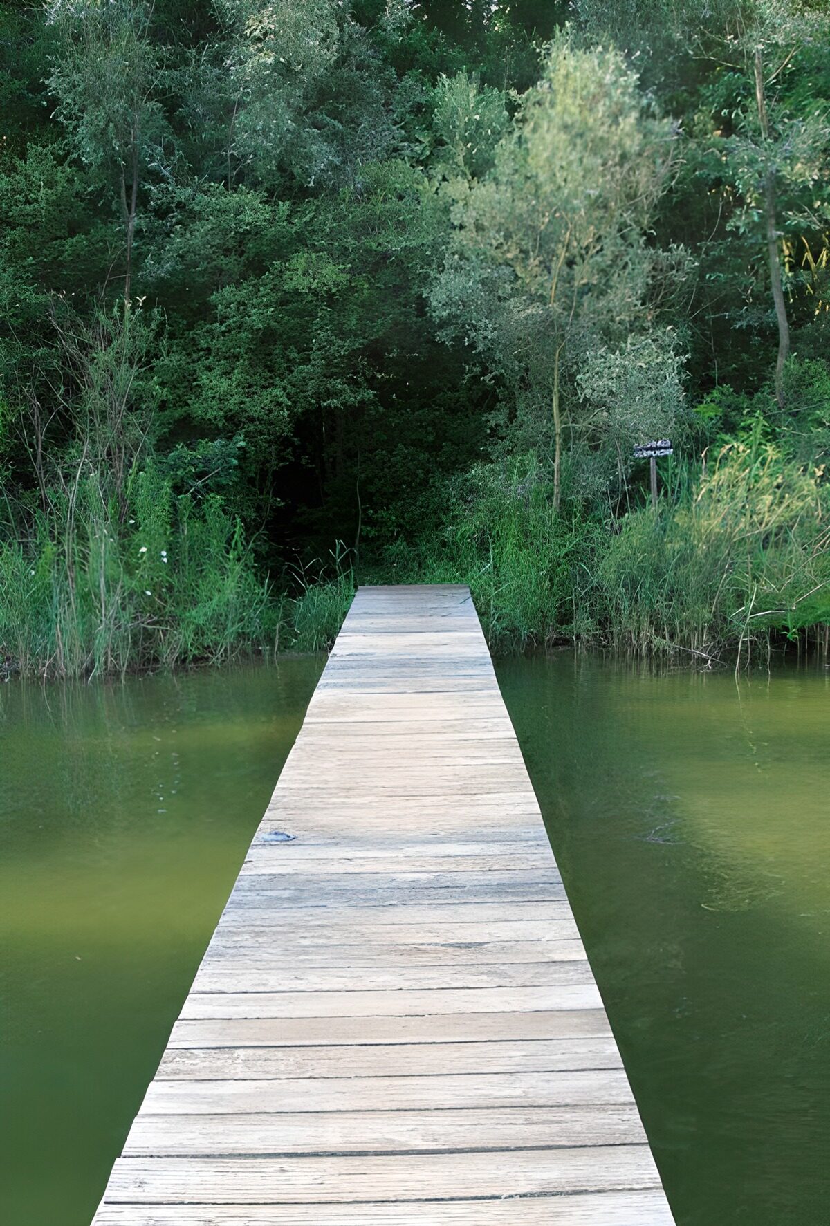 OCUK15285: Jetty across the water, direction forest
