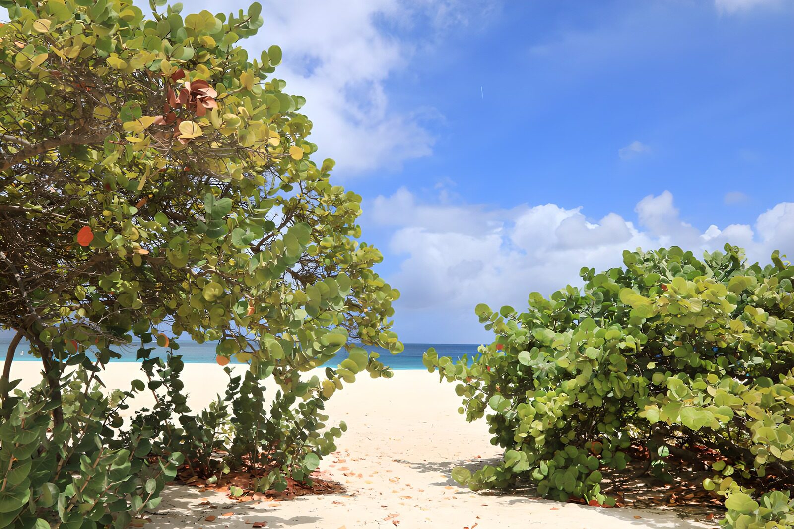 OCUK62998: Serene Beach Escape