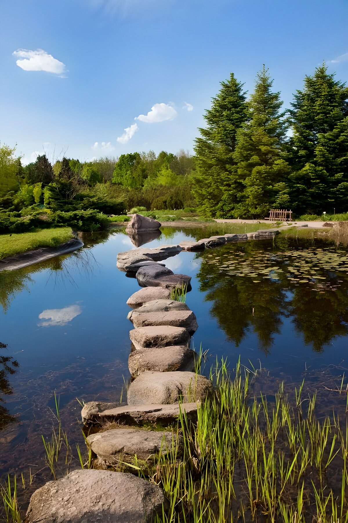 Japanese garden with a pathway of stones in the water 3