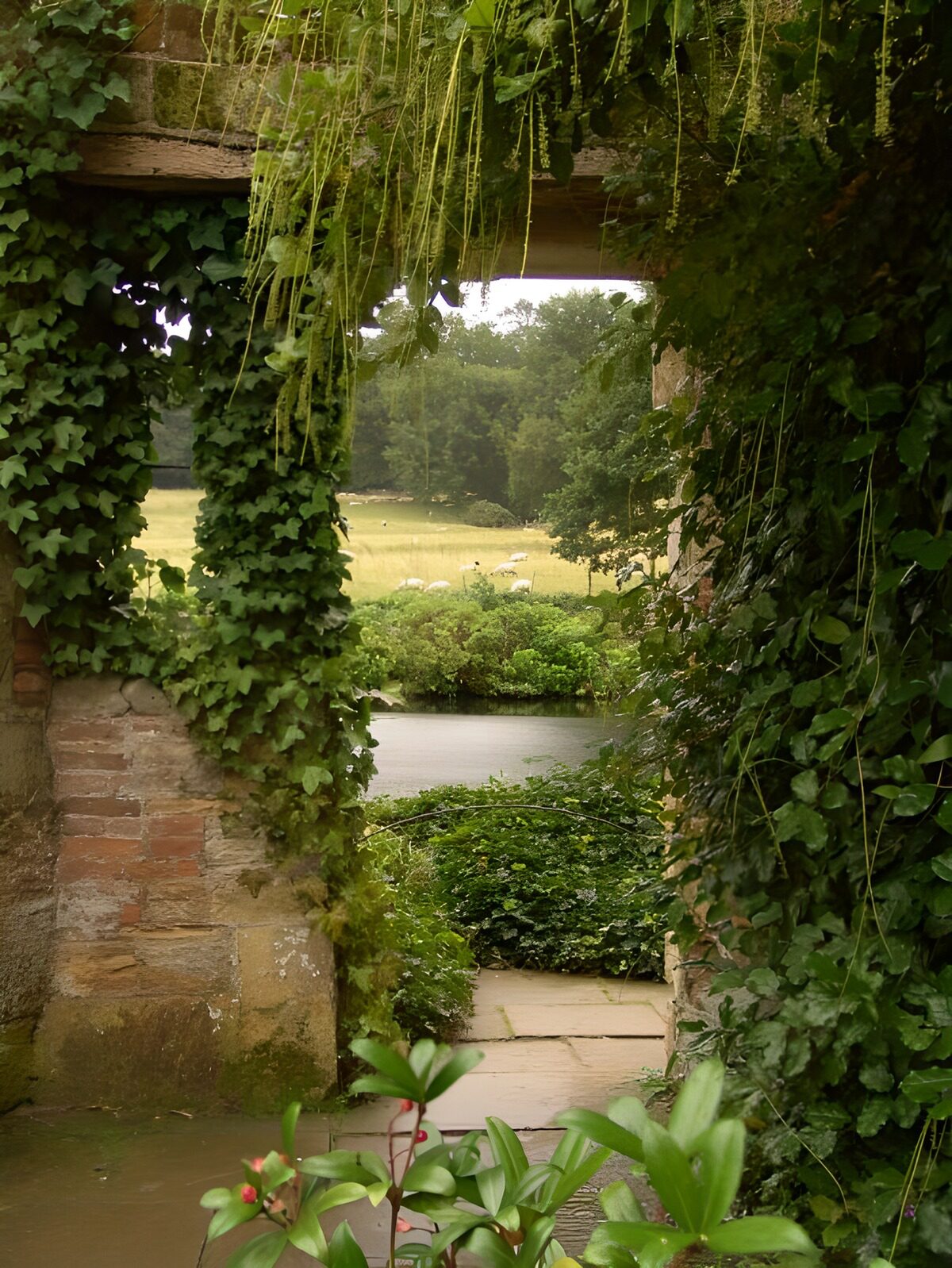 OCUK41313: Lookout at a large garden with a pond