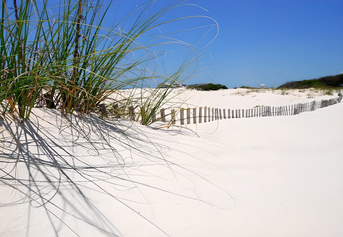 OCUK52544: Tranquil Beach Dunes Under Blue Sky