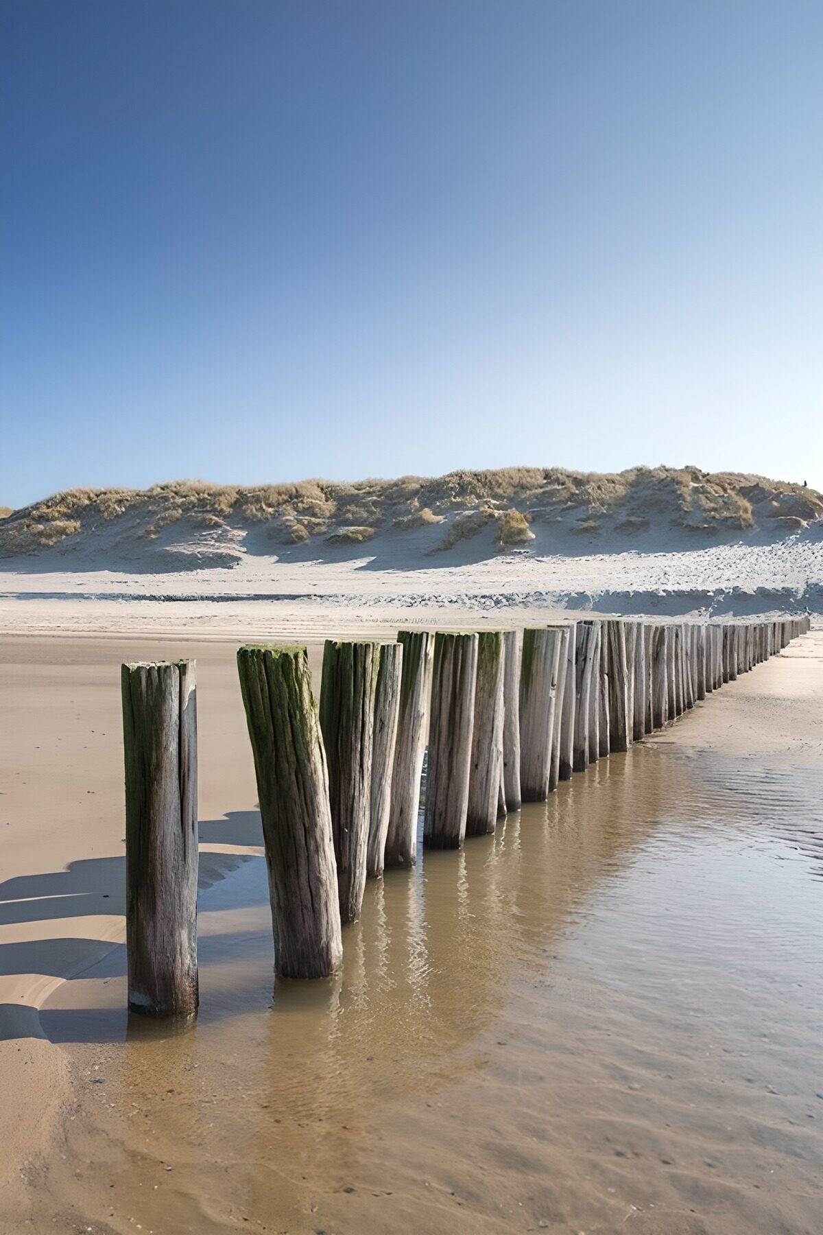 OCUK79183: Beach poles in