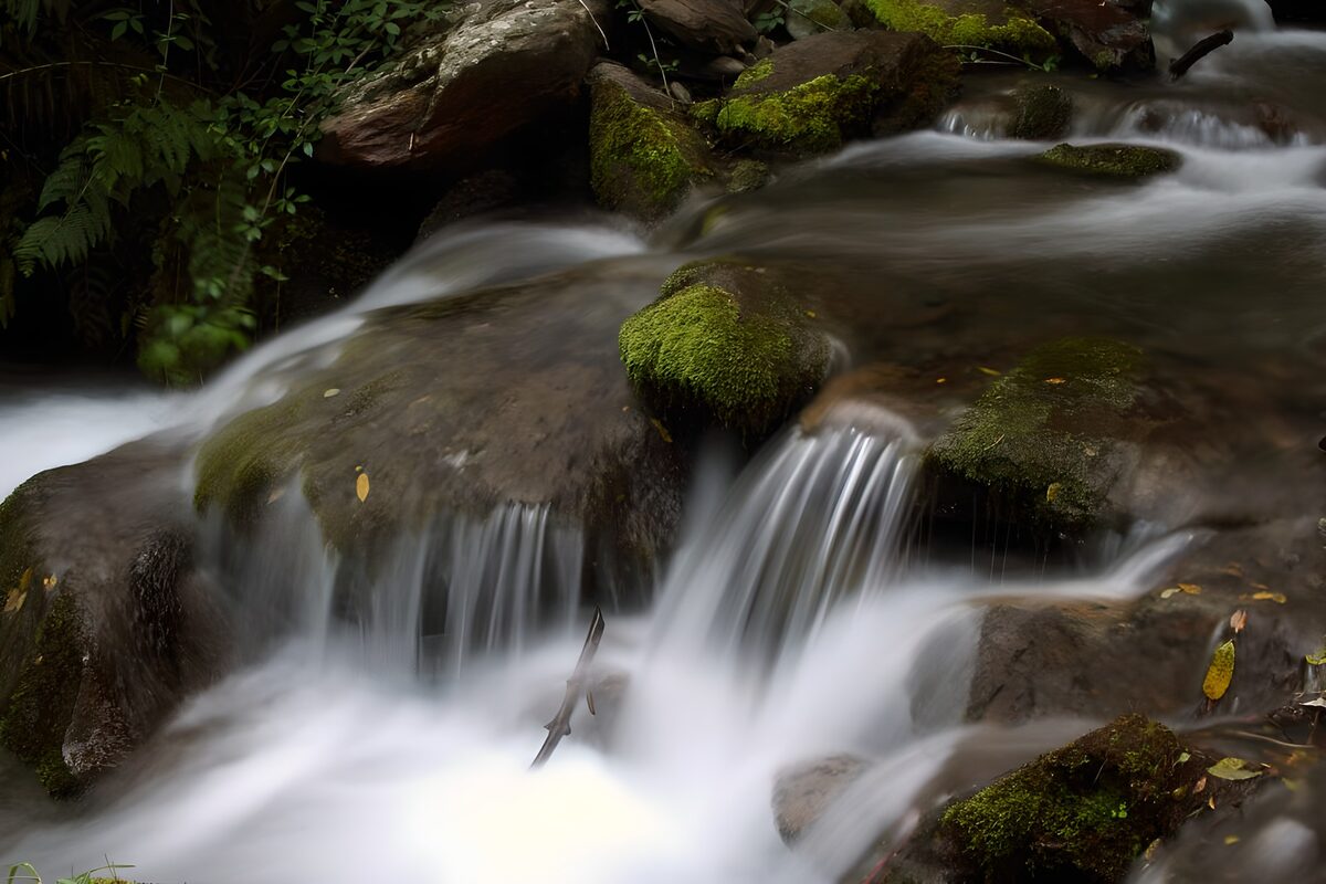 OCUK41471: Serene Stream Flowing Over Mossy Rocks