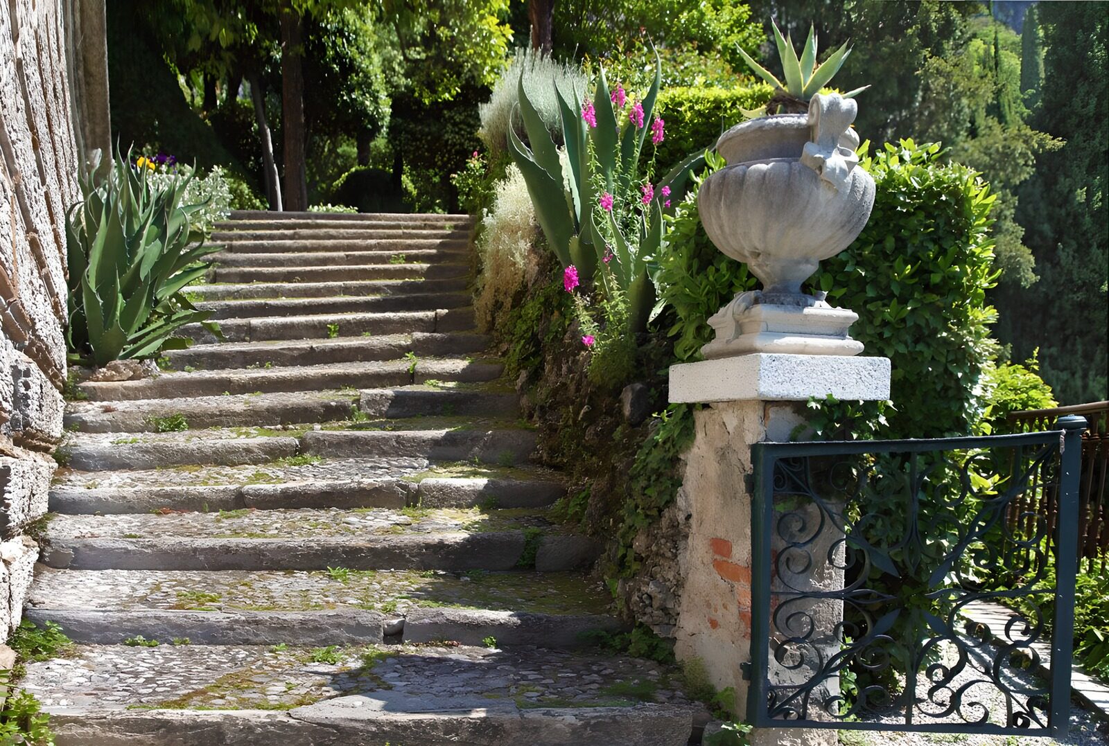 OCUK10752: Serene Garden Steps in Sunlight