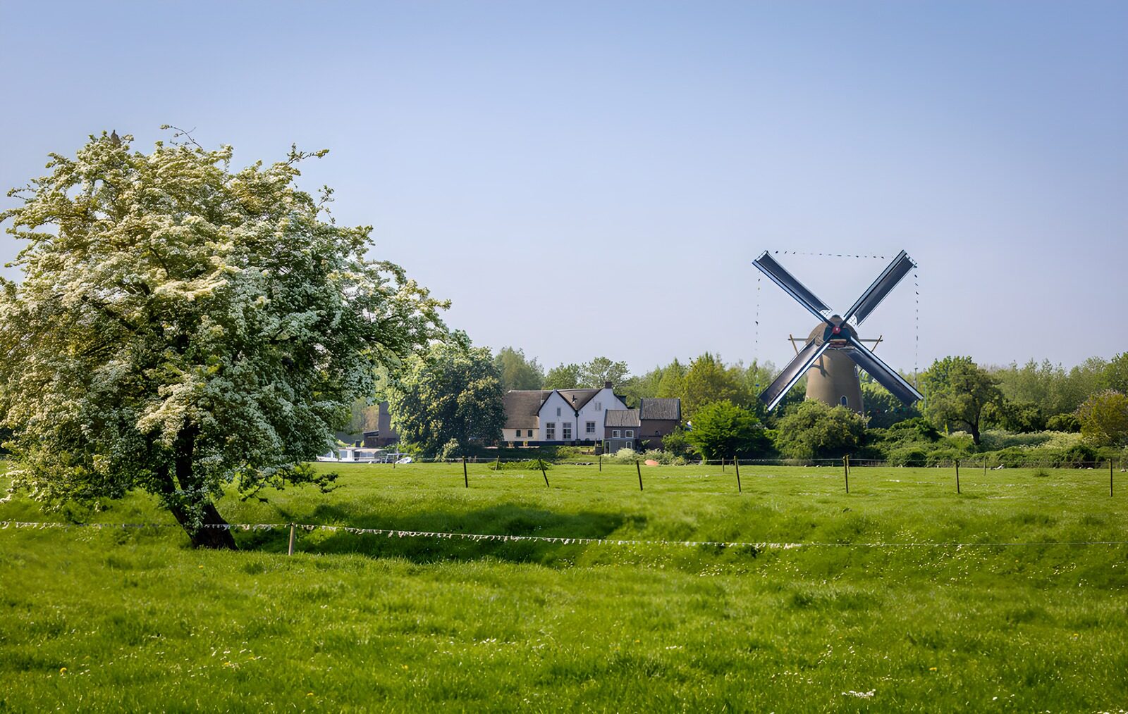 OCUK66470: Scenic Dutch Windmill and Blossom Tree