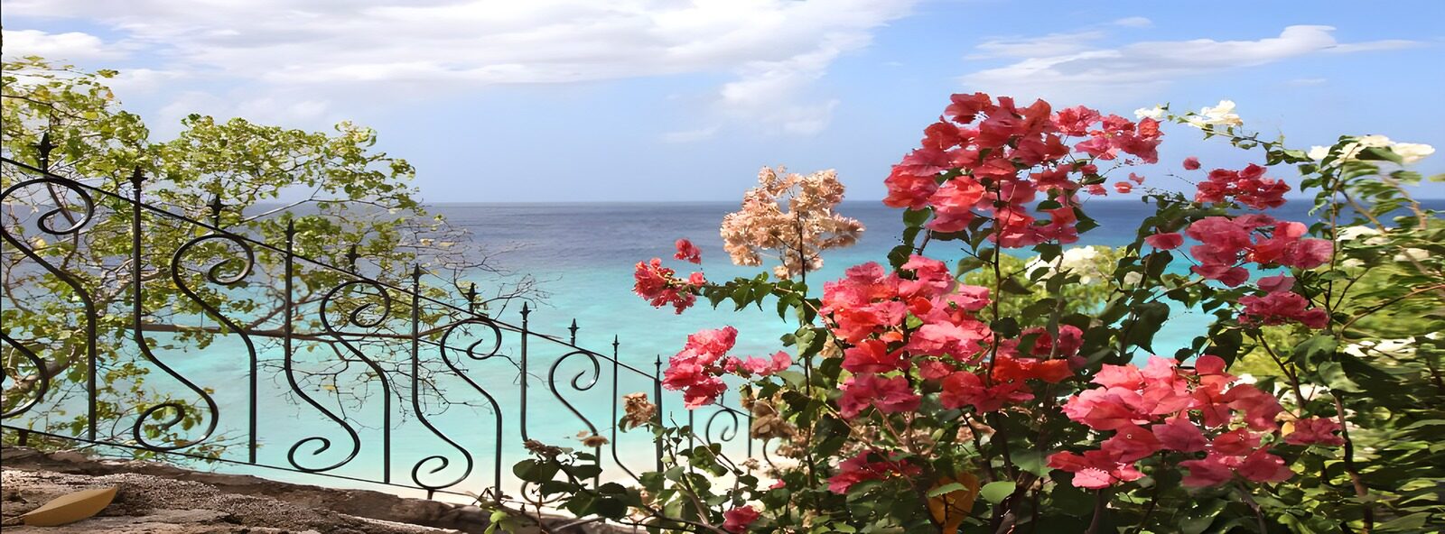 OCUK17071: Tropical Paradise by the Sea