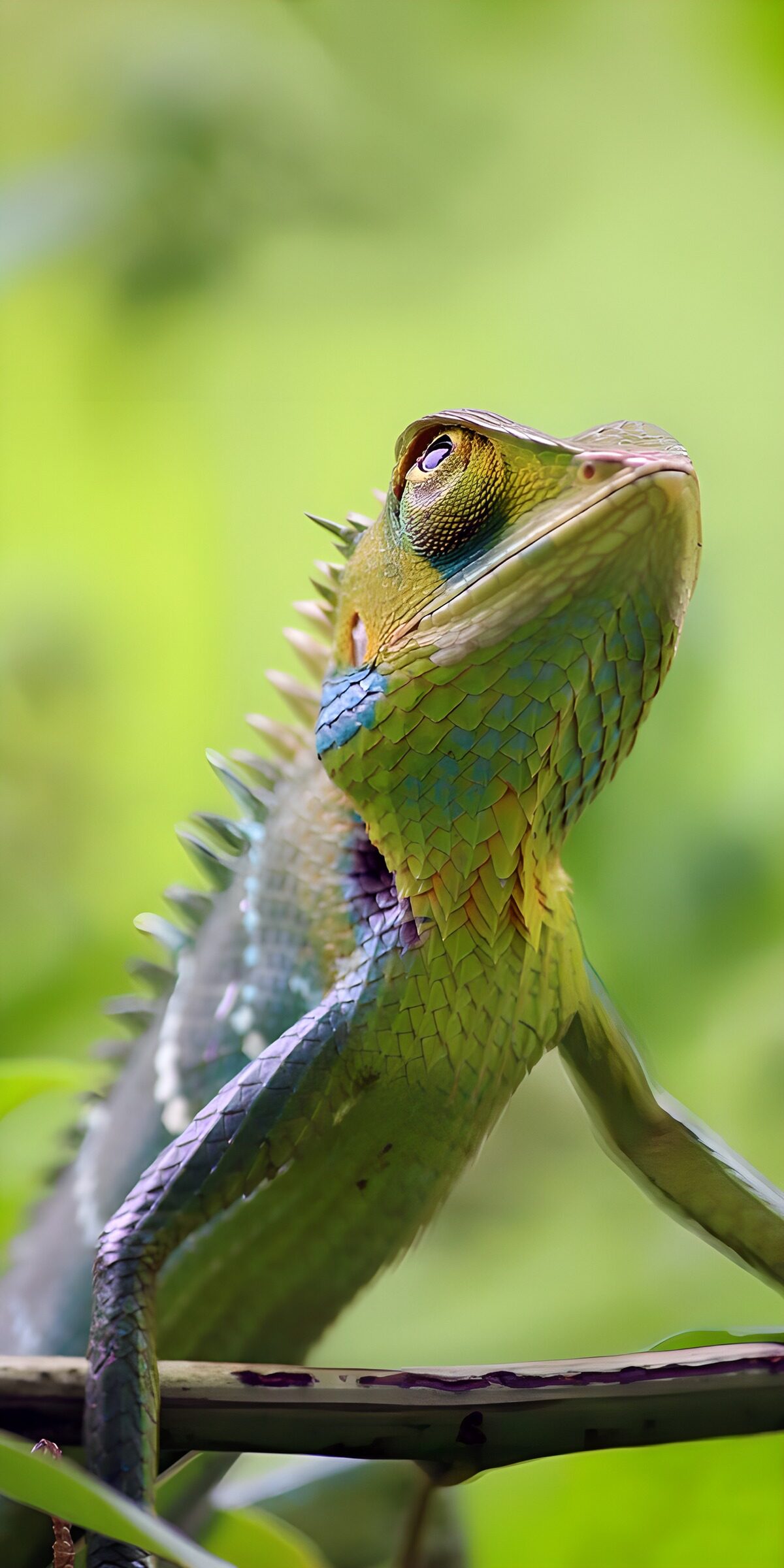 OCUK41361: Vibrant Lizard in Nature's Embrace
