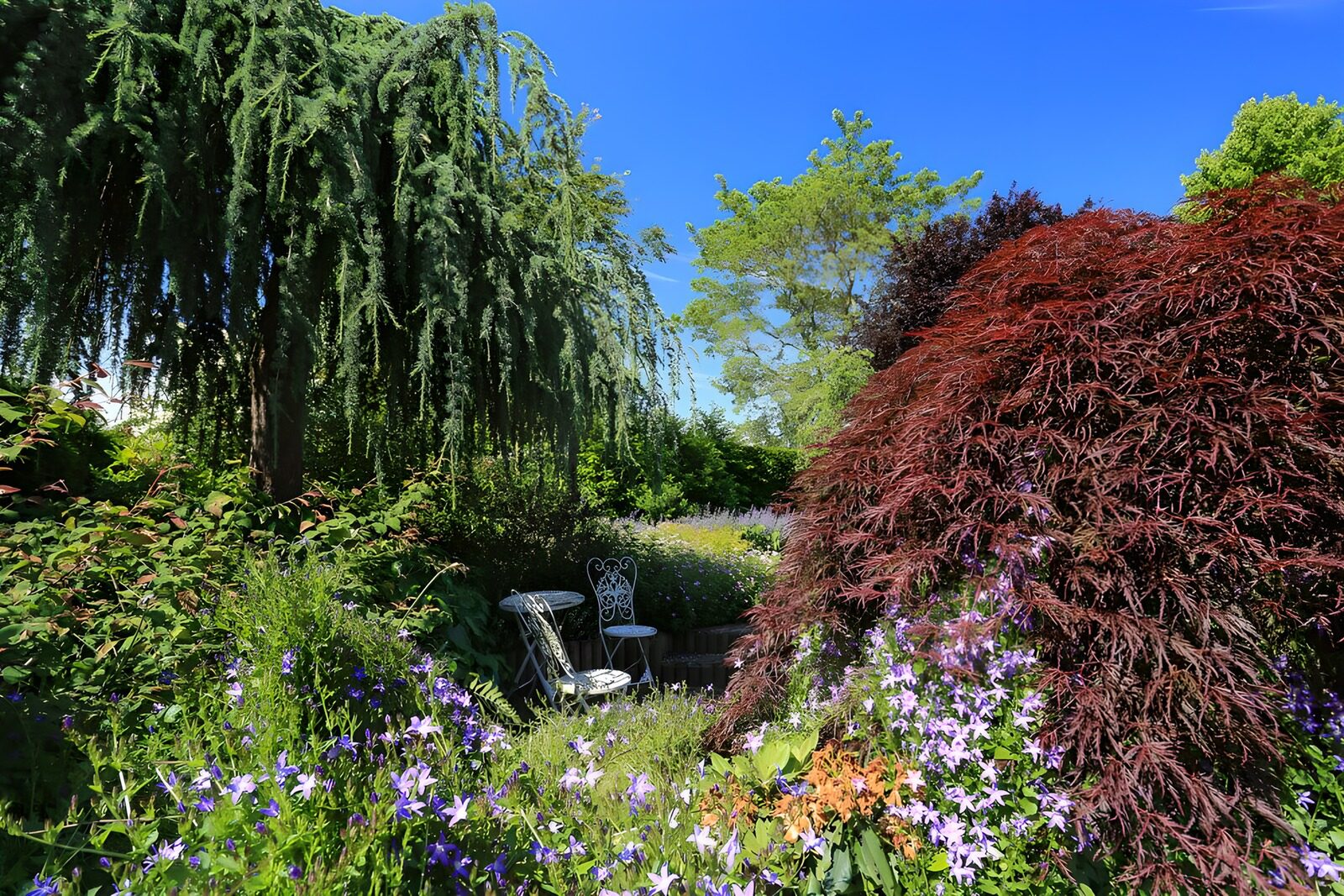 OCUK82529: Serene Garden Retreat Under Blue Skies