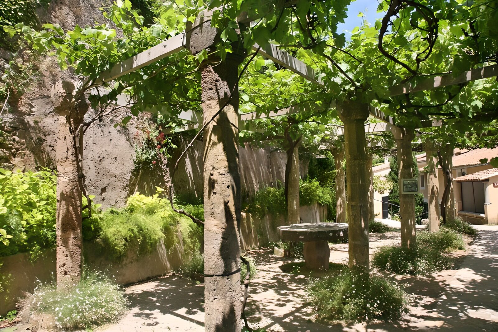 OCUK13099: Old covered over terrace with pillars, vine leaves version1