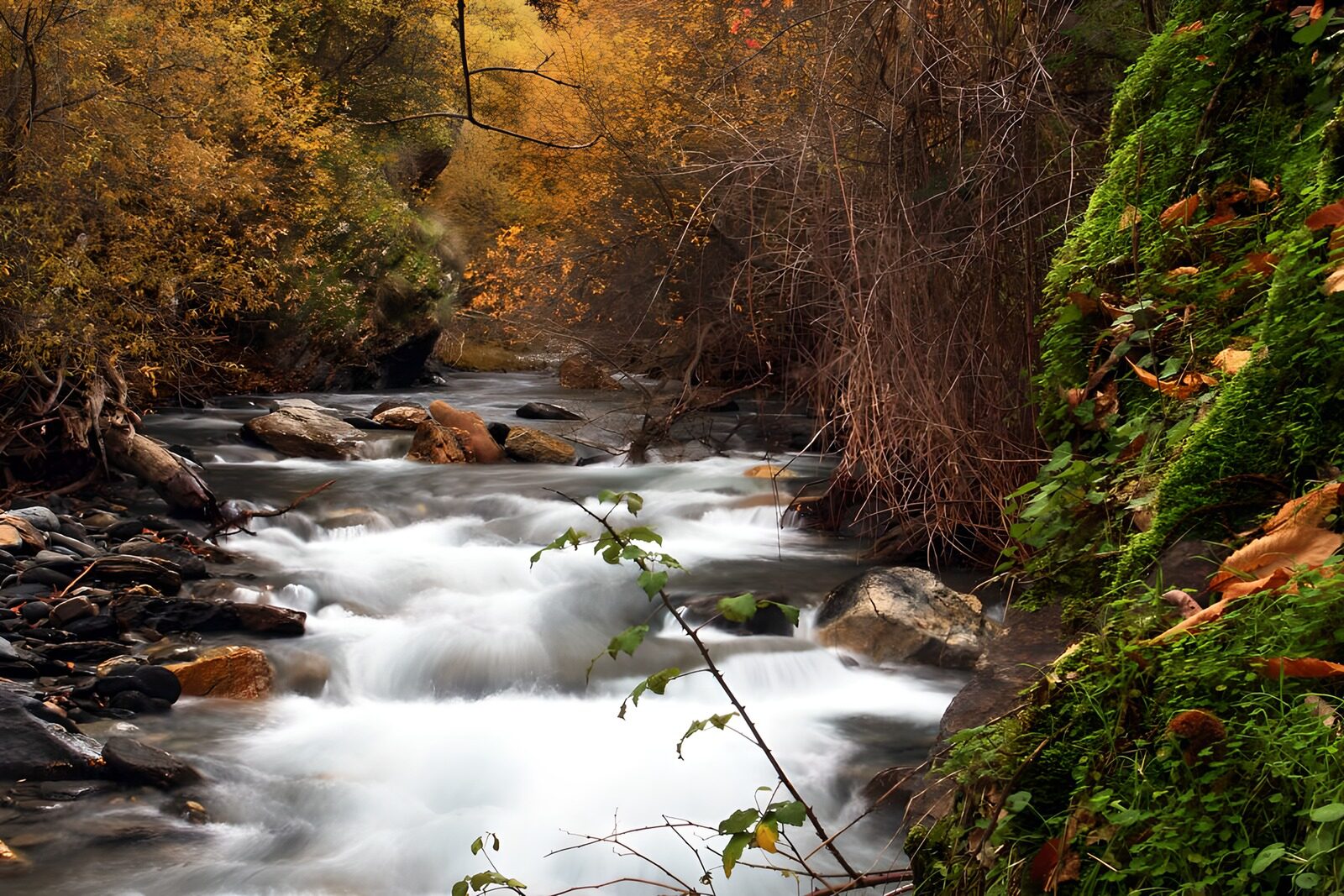 OCUK86462: Tranquil Autumn Stream