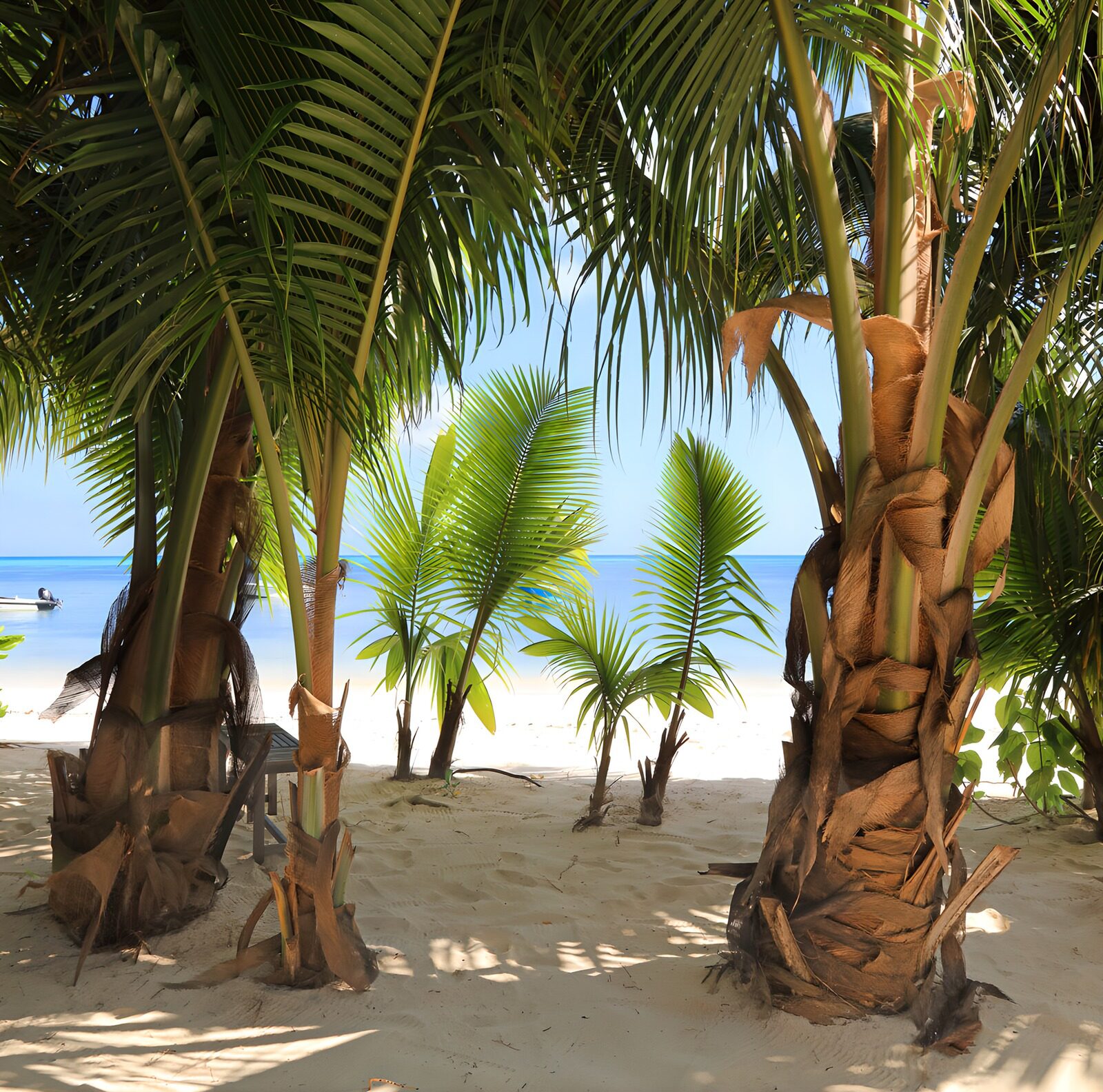 OCUK78014: Tranquil Beach Escape
