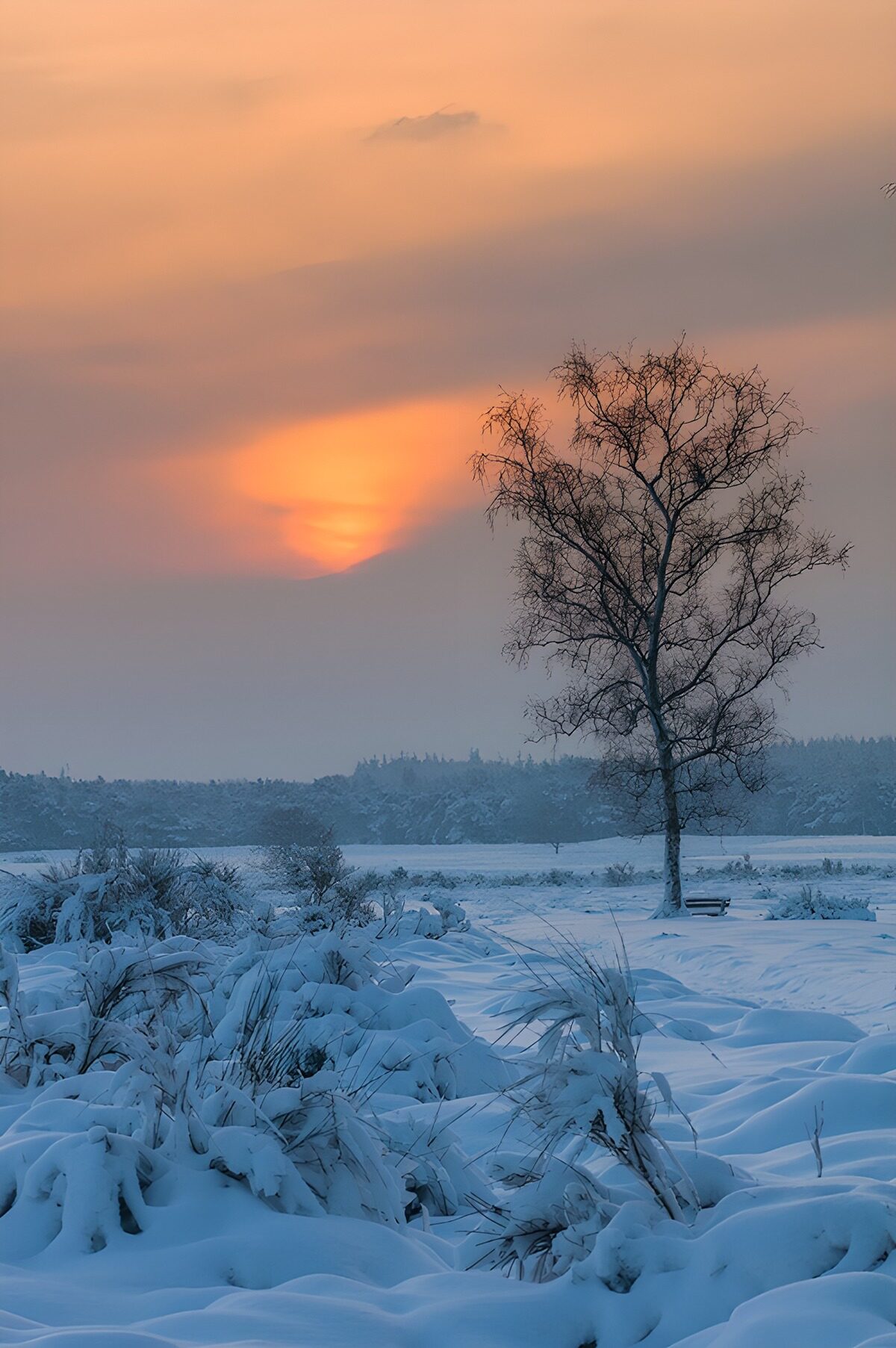 OCUK21069: Serene Winter Sunset