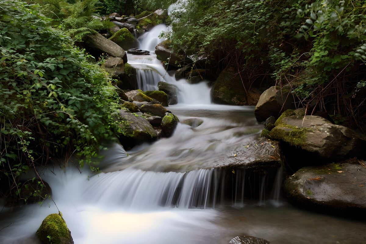 OCUK53796: Tranquil Stream Flowing Through Nature