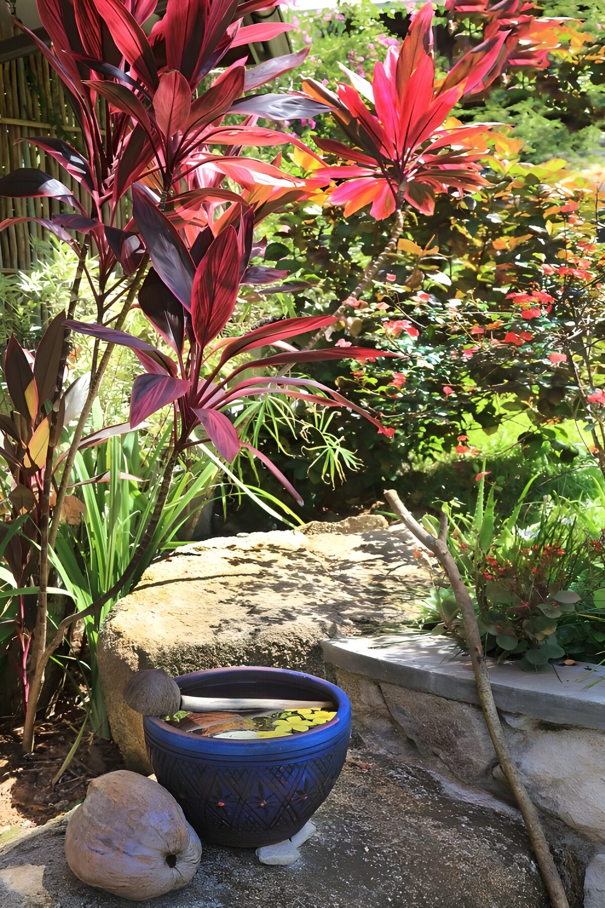 OCUK94719: Tranquil Garden Oasis
