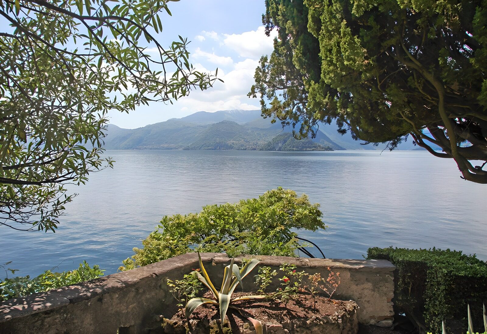 OCUK17070: Serene Lakeside View Surrounded by Nature