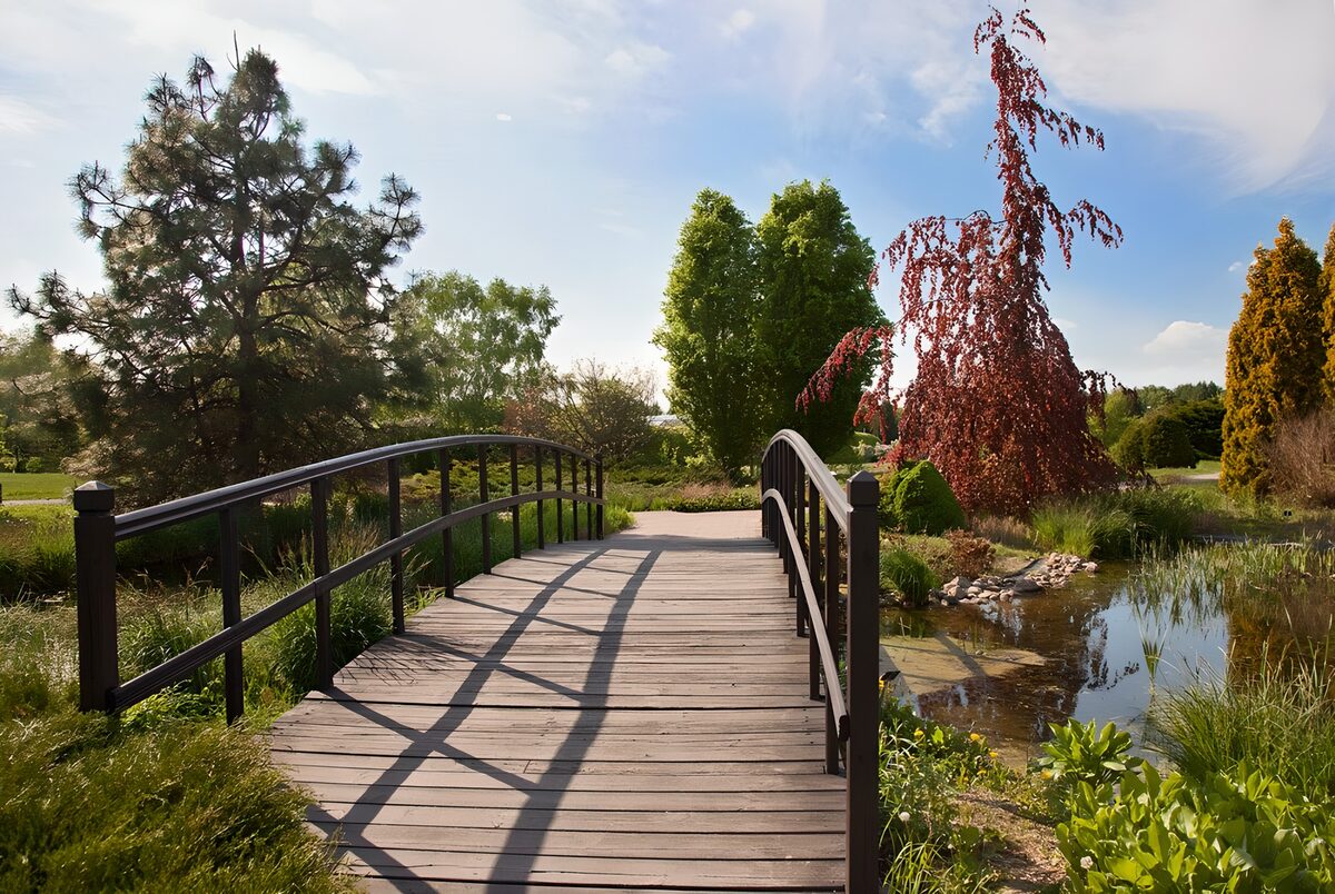 OCUK73575: Tranquil Bridge in a Lush Garden
