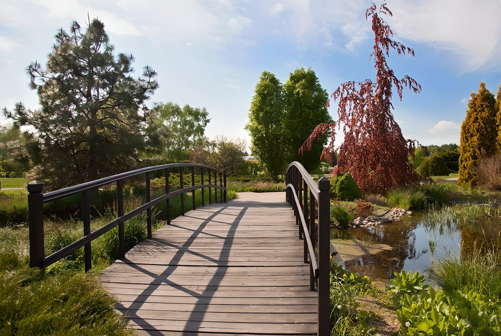 OCUK73575: Tranquil Bridge in a Lush Garden