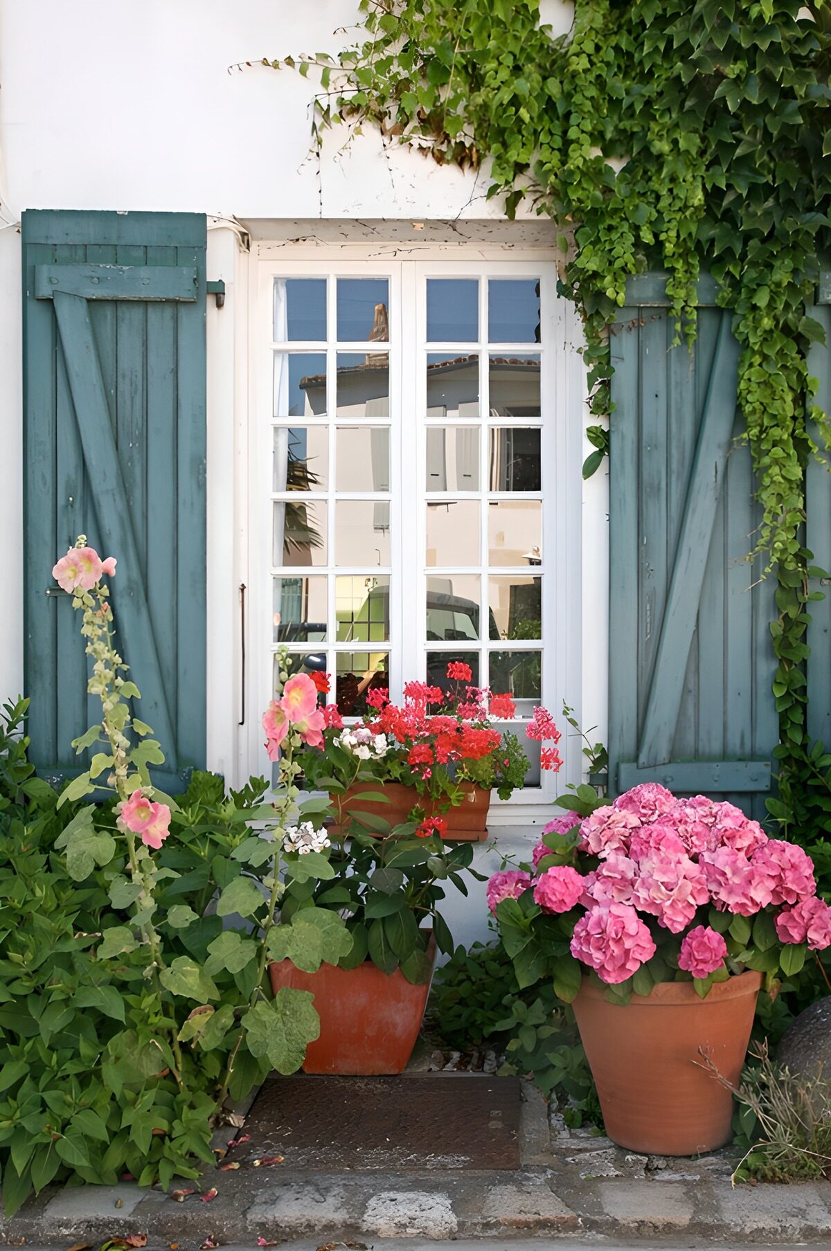 OCUK56581: Charming Floral Window Display