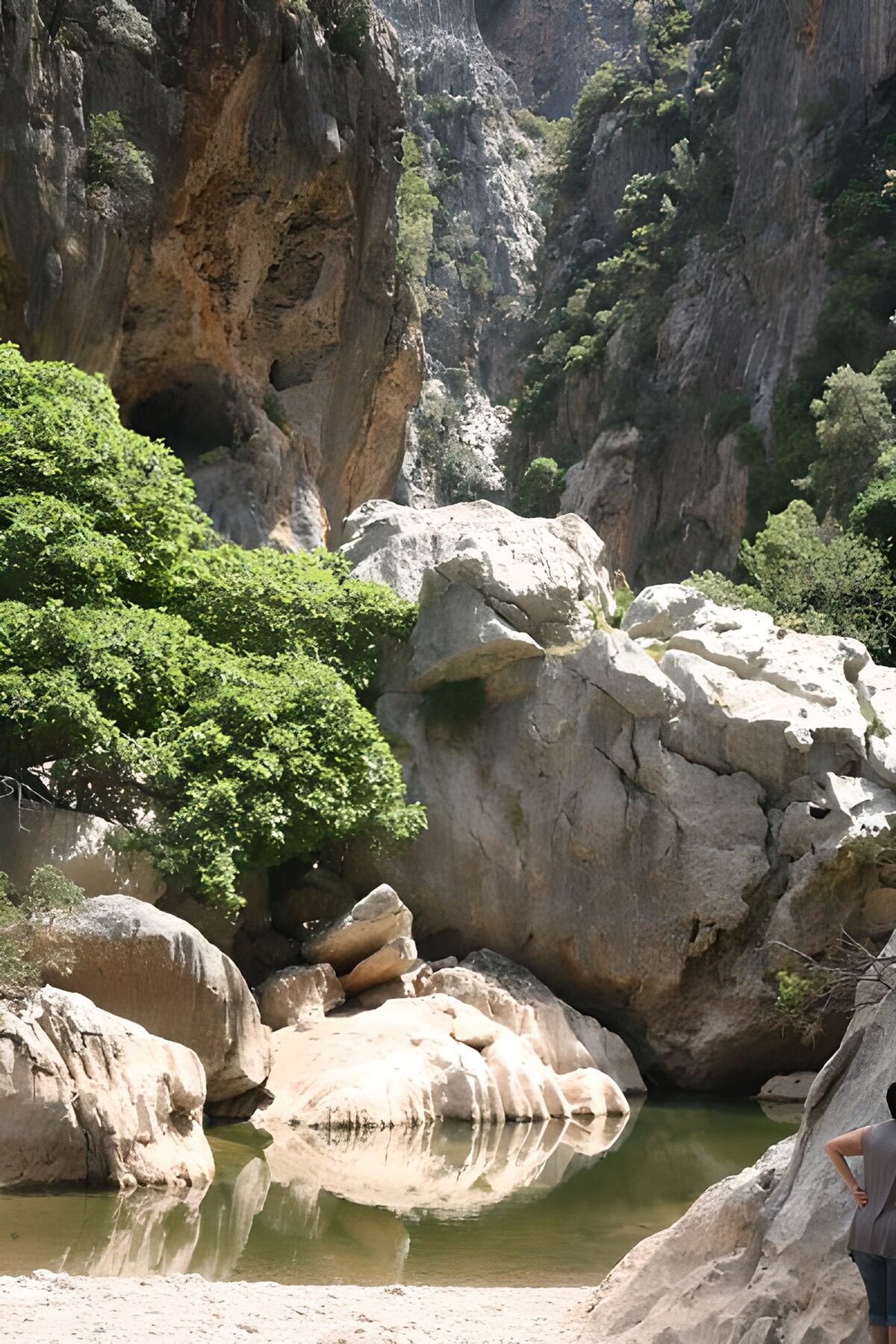 Well, river, rocks and trees 1