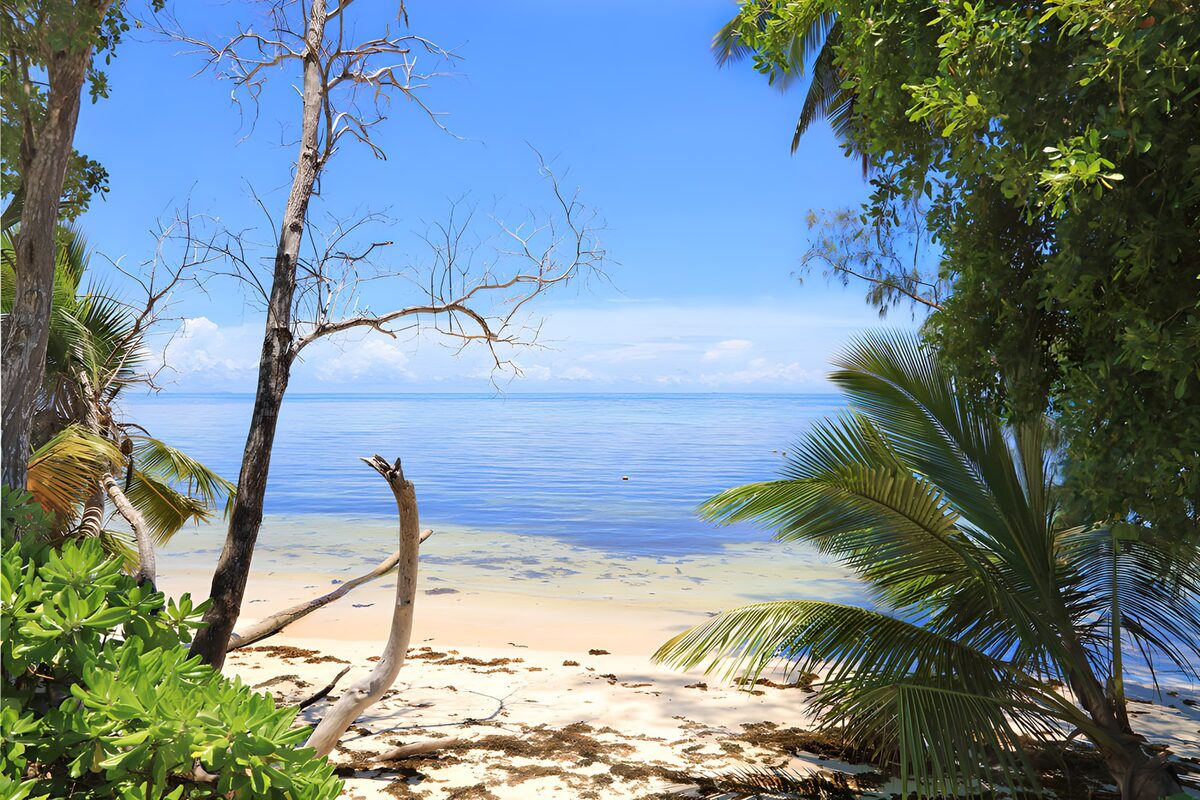 OCUK24483: Serene Coastal Paradise