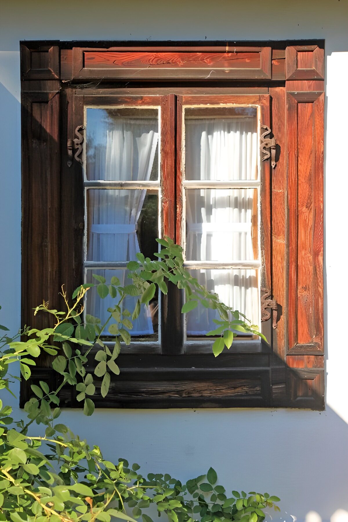 OCUK20632: Charming Rustic Window with Greenery