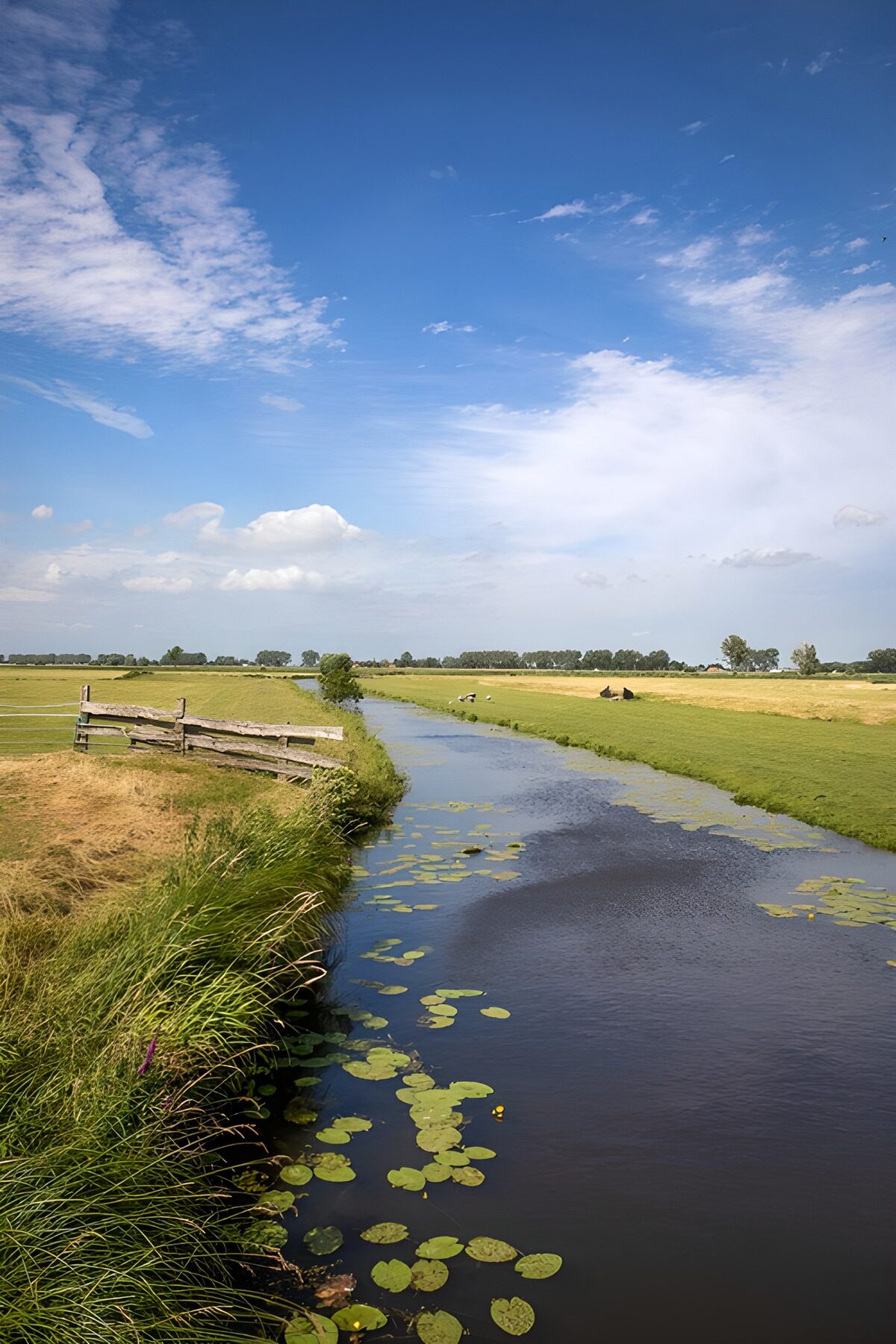 OCUK80582: Serene River Landscape Under Blue Skies