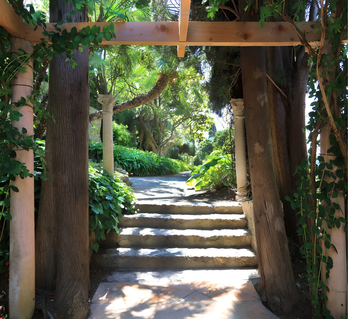 OCUK16820: Serene Garden Pathway
