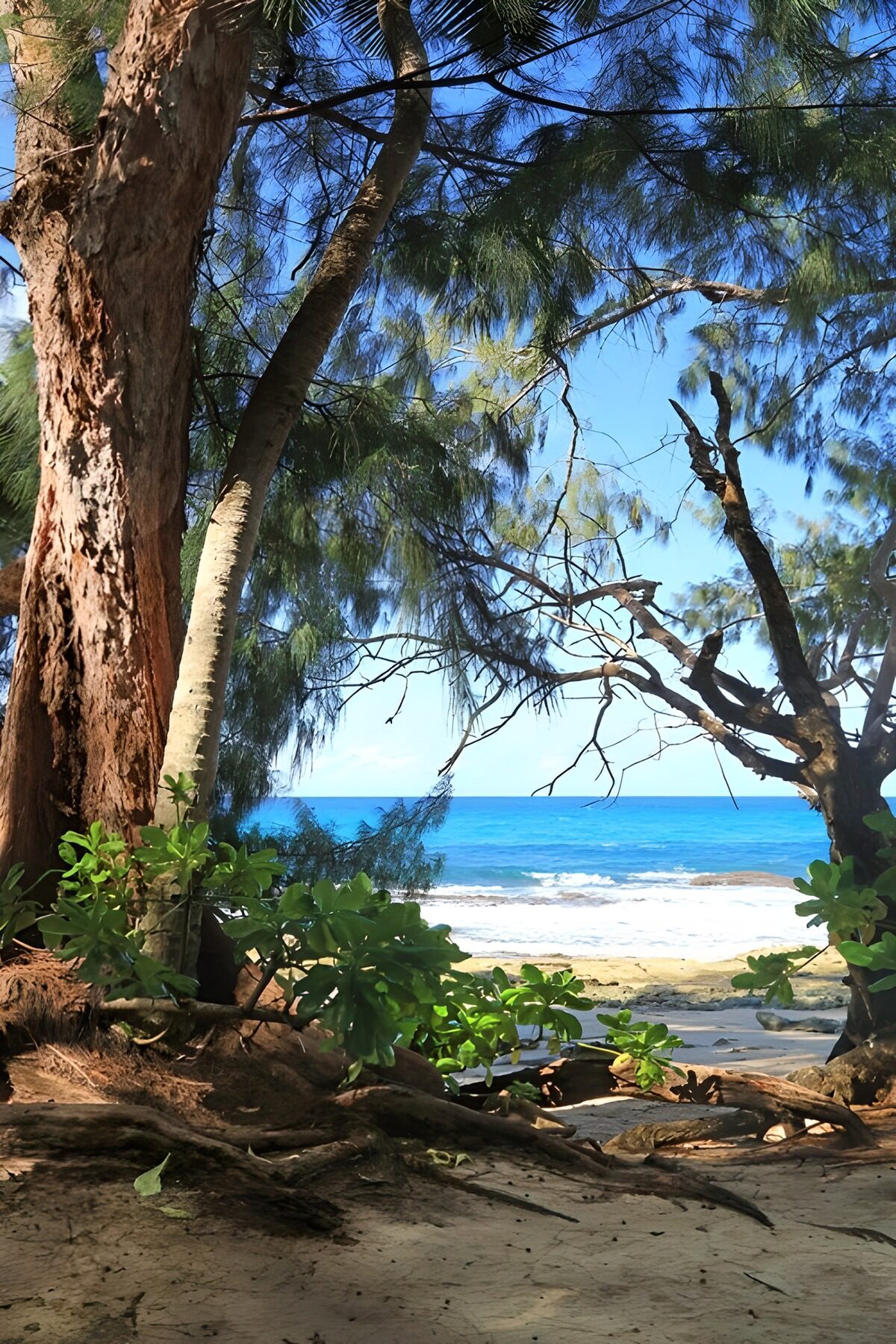 OCUK92077: Serene Beach Escape