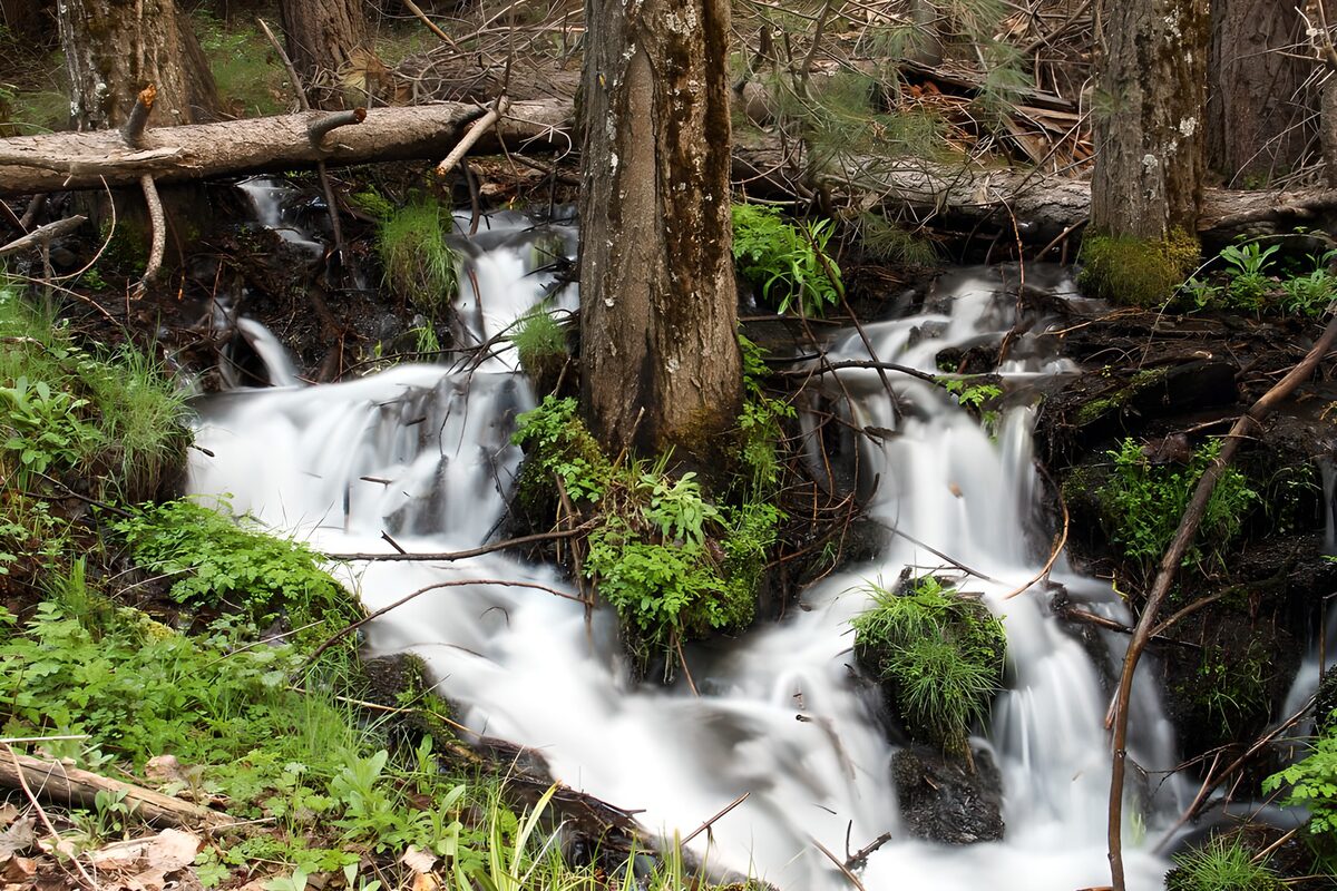 OCUK15775: Tranquil Forest Stream