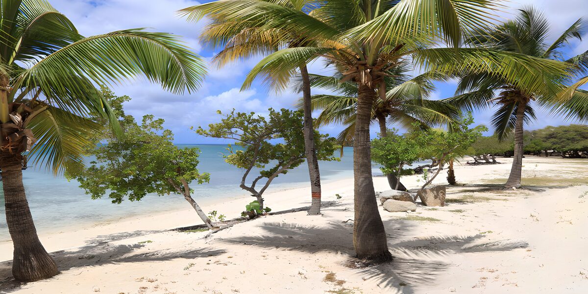 OCUK90322: Tranquil Tropical Paradise