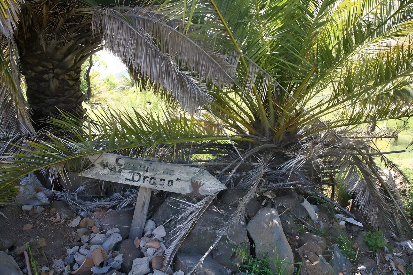 OCUK46300: La Gomera 34