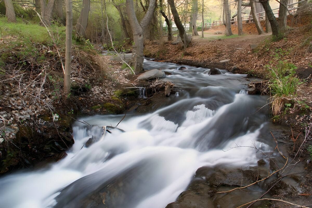 OCUK69985: Serene Stream Flowing Through the Forest