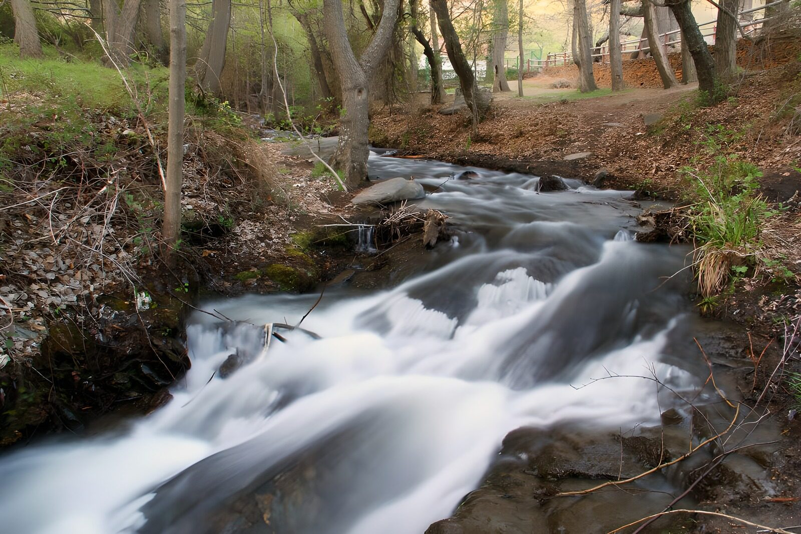 OCUK69985: Serene Stream Flowing Through the Forest
