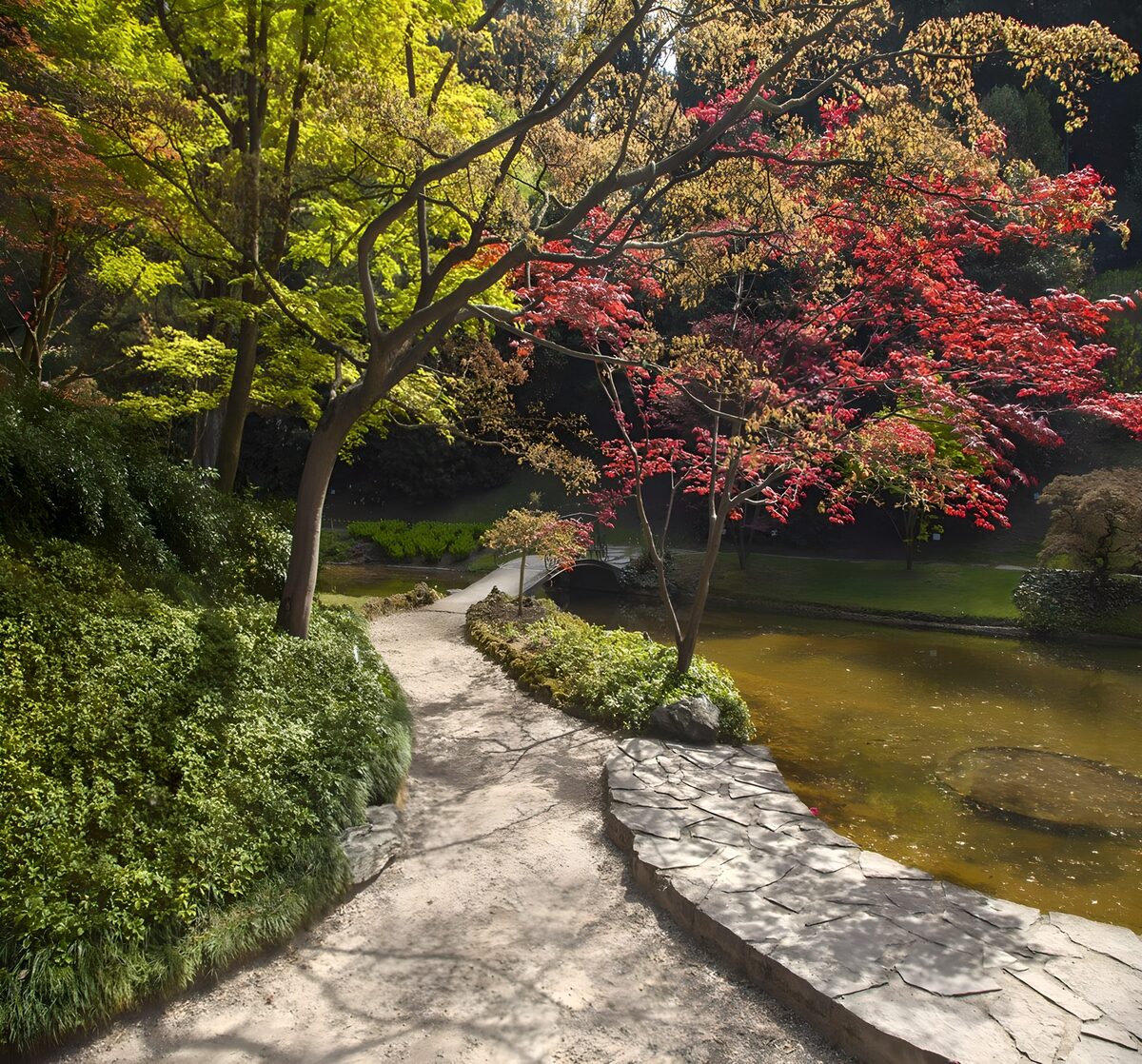 OCUK28285: Serene Autumn Garden Pathway