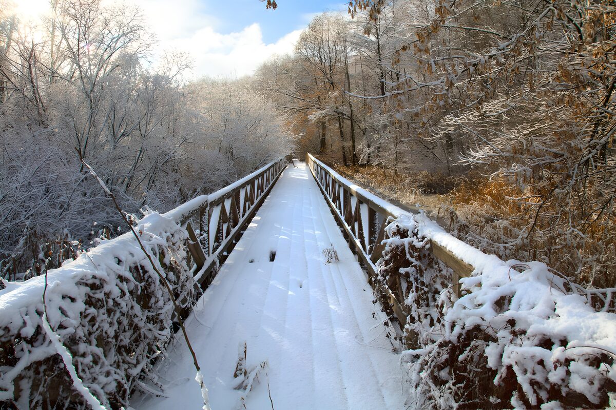 Winter Serenity: Snow-Covered Bridge