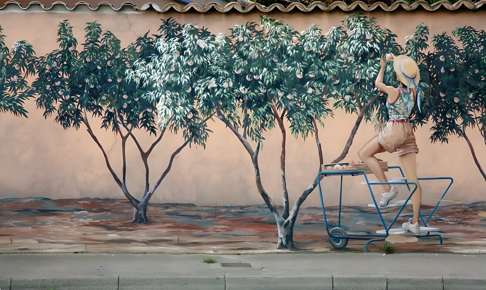 OCUK35018: 3D Wall painting at a village in France version 3